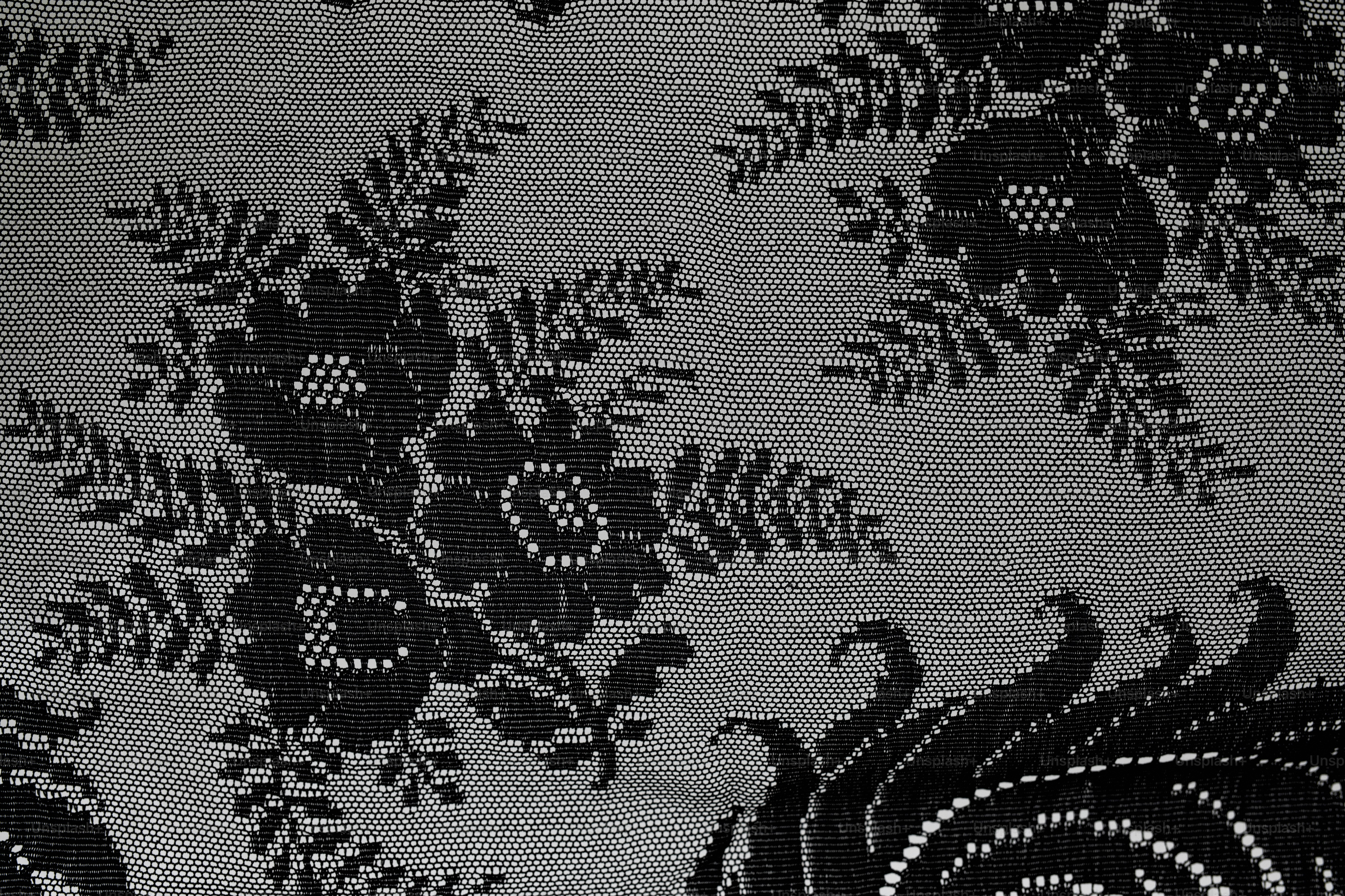 Tissu en dentelle fleurie noire avec des motifs complexes.