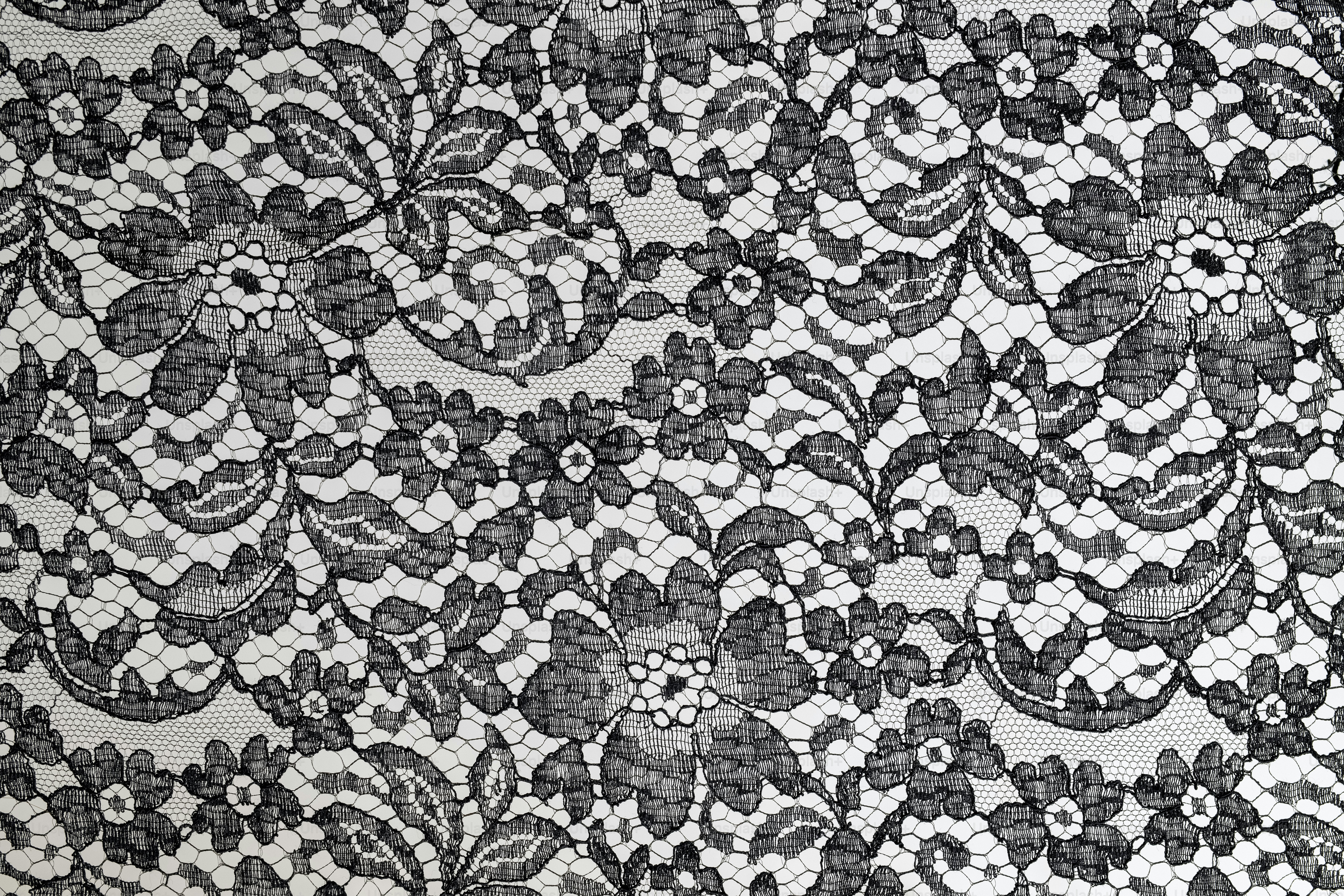 Tissu en dentelle florale complexe avec des motifs détaillés.