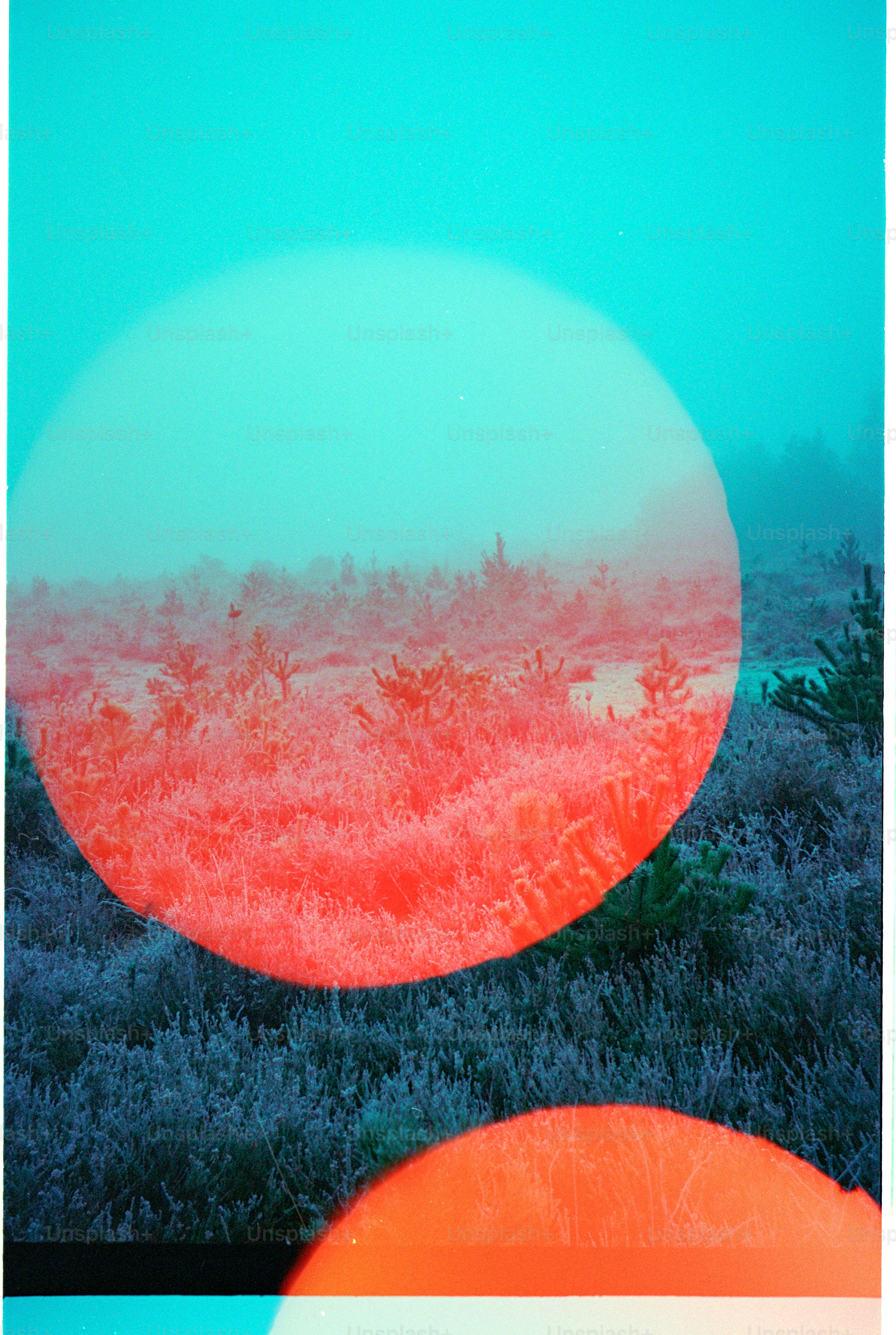 Misty landscape with red and blue circular overlays.