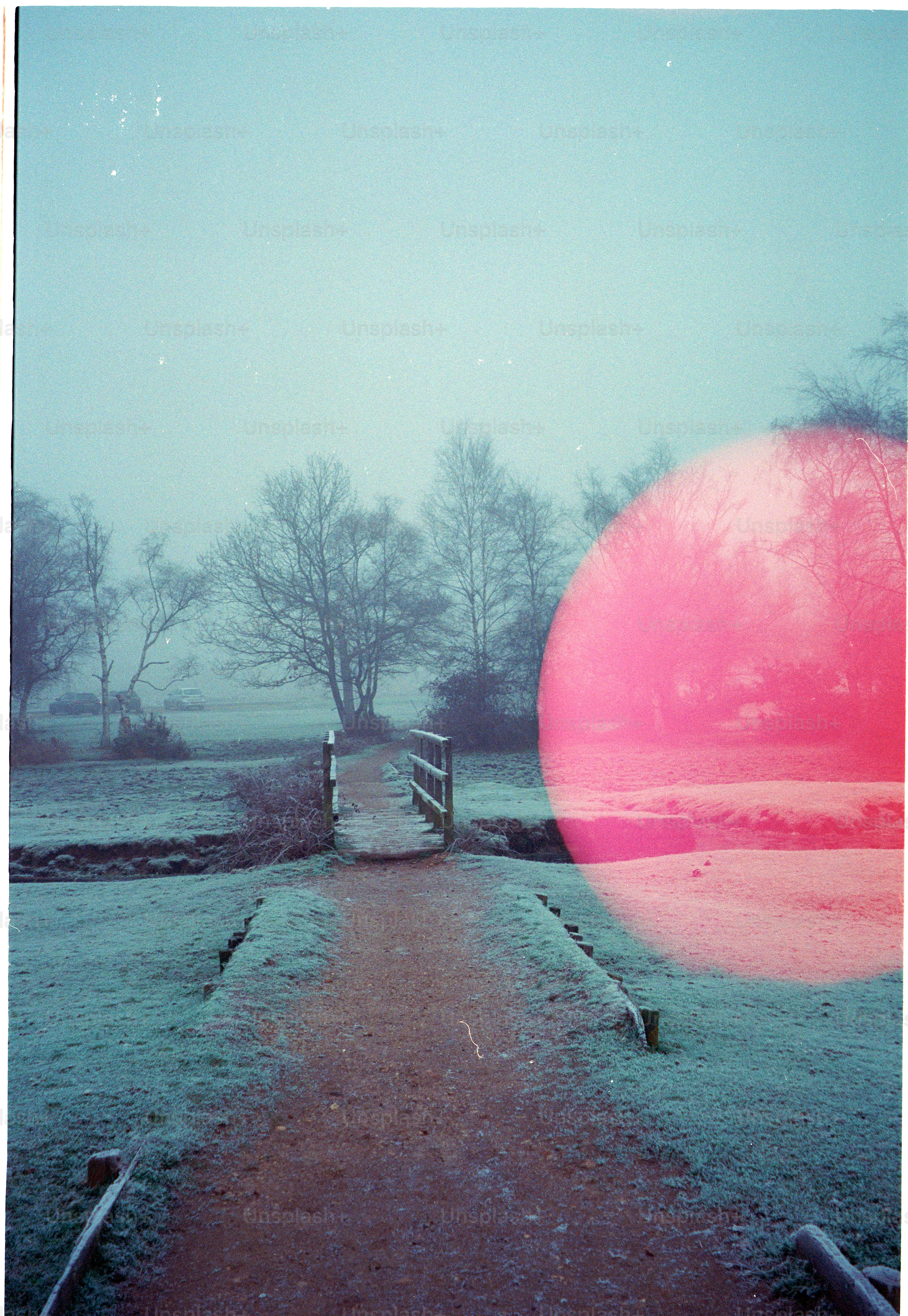 A foggy path leads to a small bridge in winter.