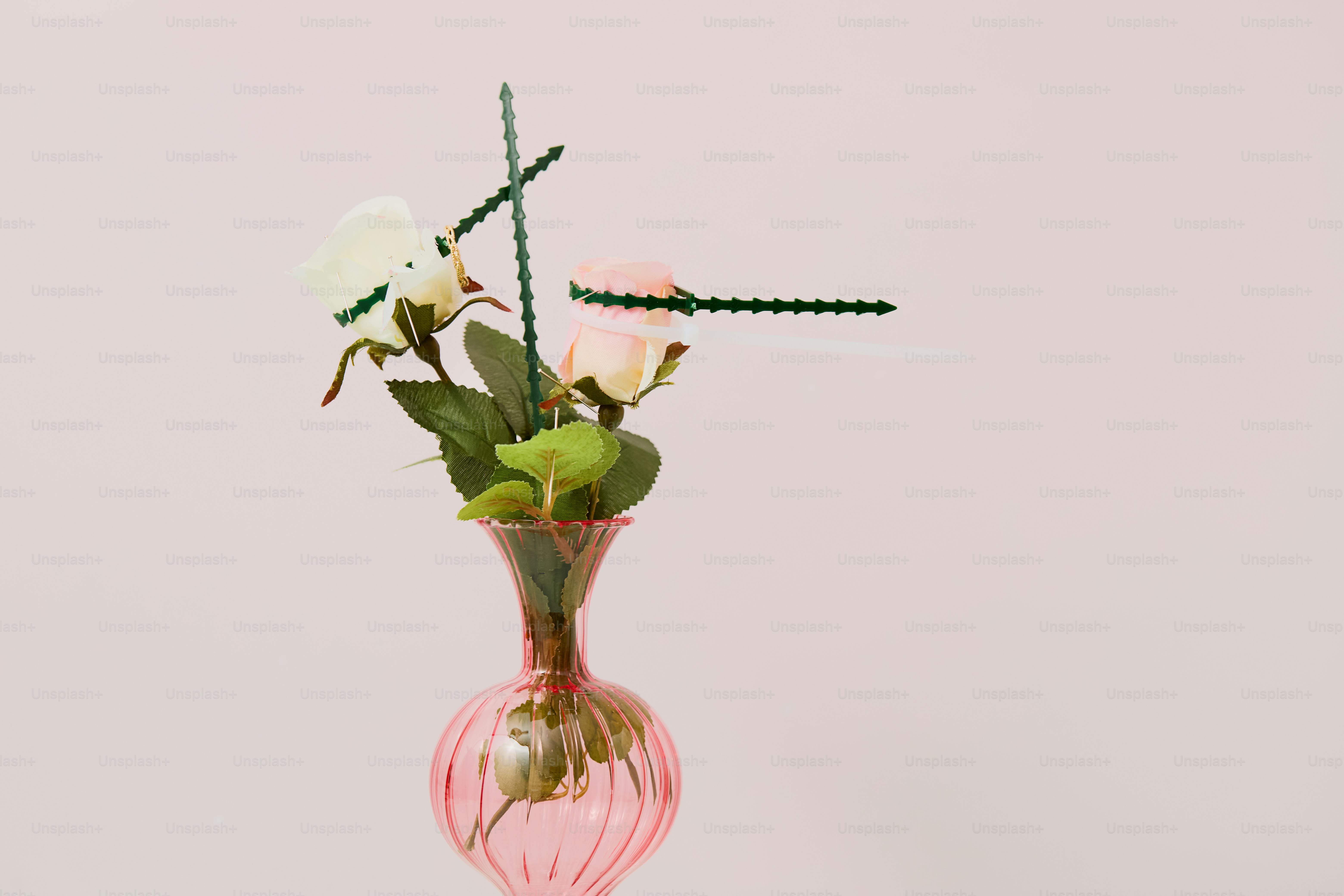 Two roses in a pink glass vase photo – Minimal Image on Unsplash