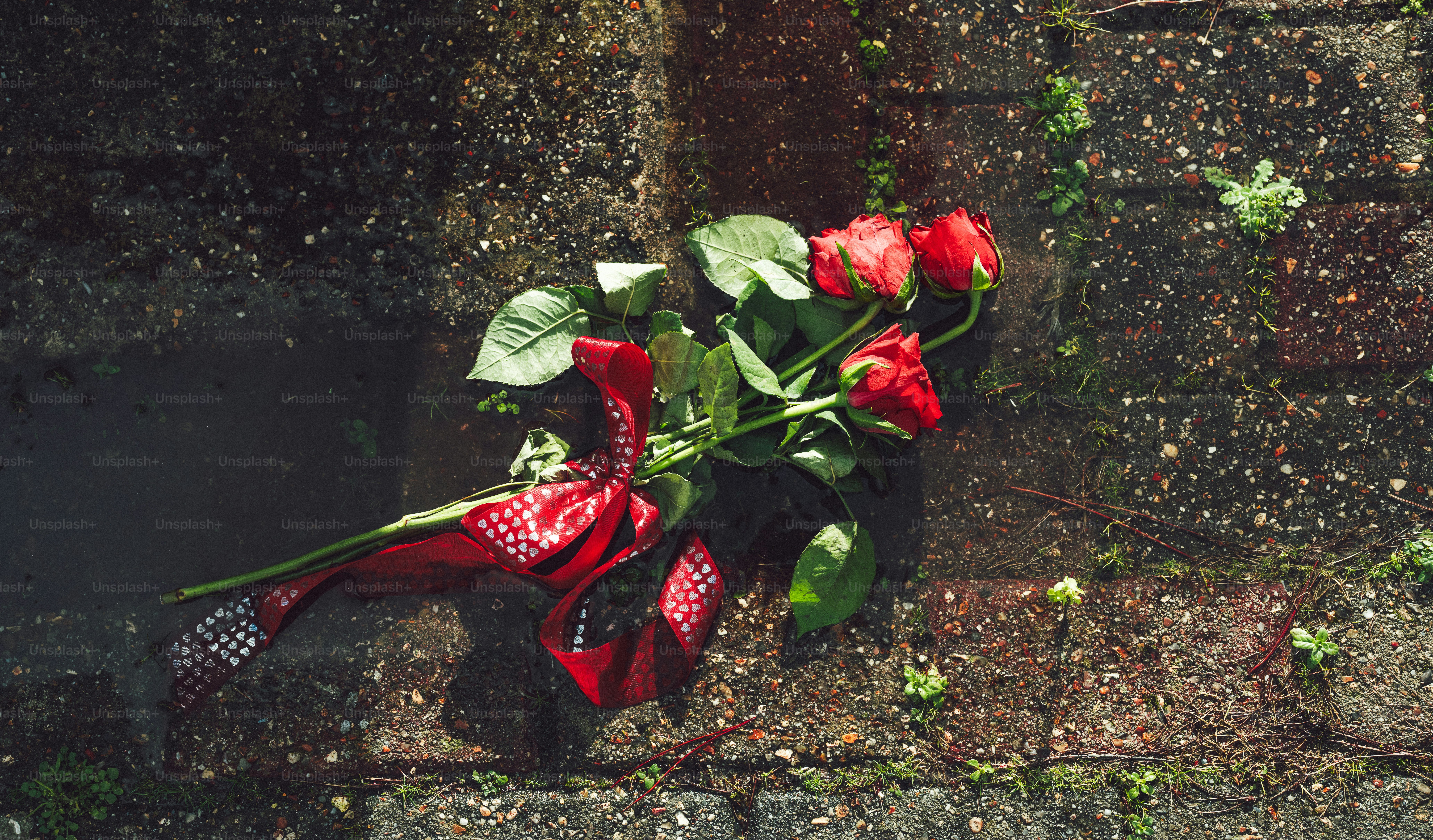 무늬 리본이 달린 붉은 장미들이 벽돌 위에 놓여 있습니다.