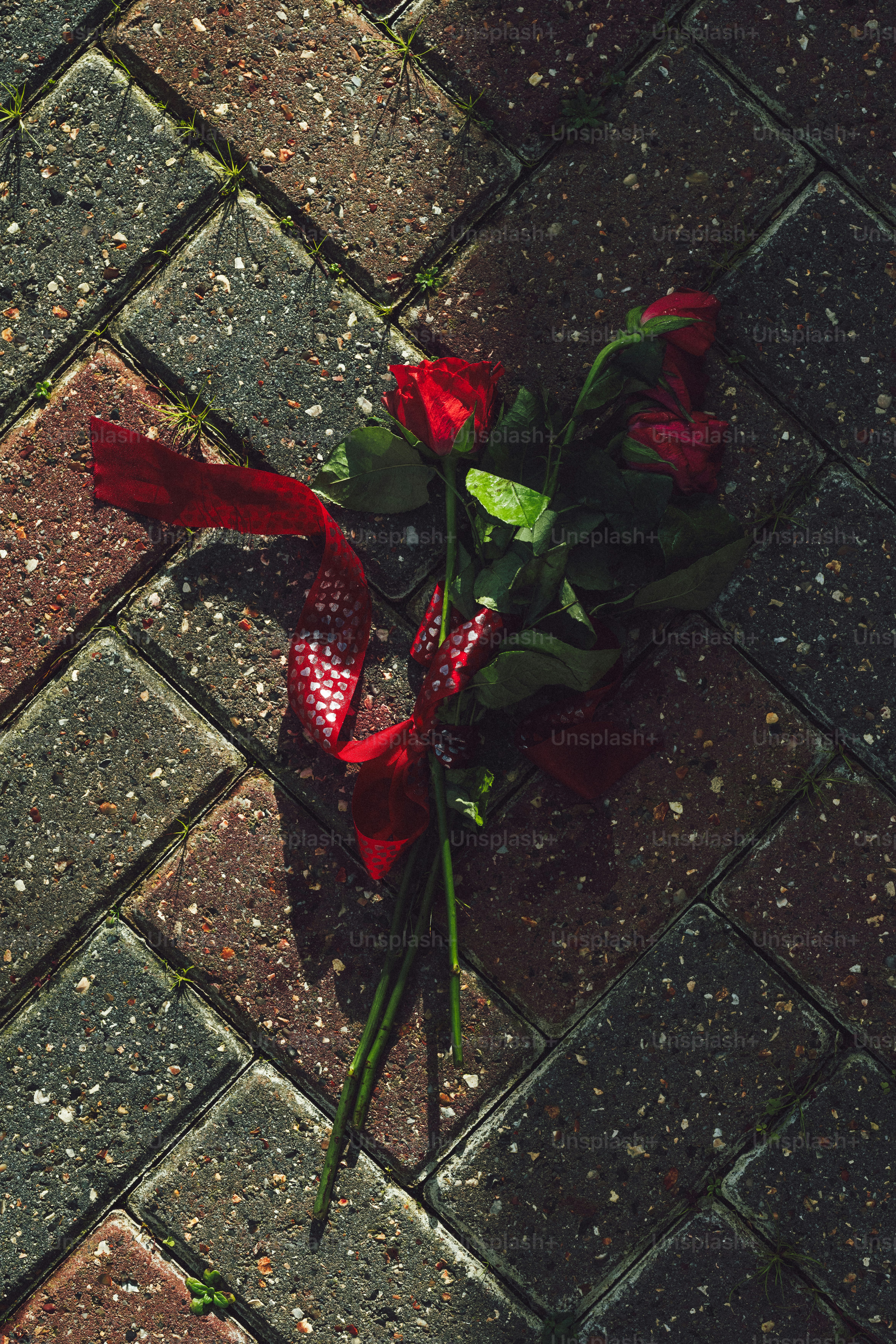 벽돌 포장도로에 리본으로 묶인 붉은 장미