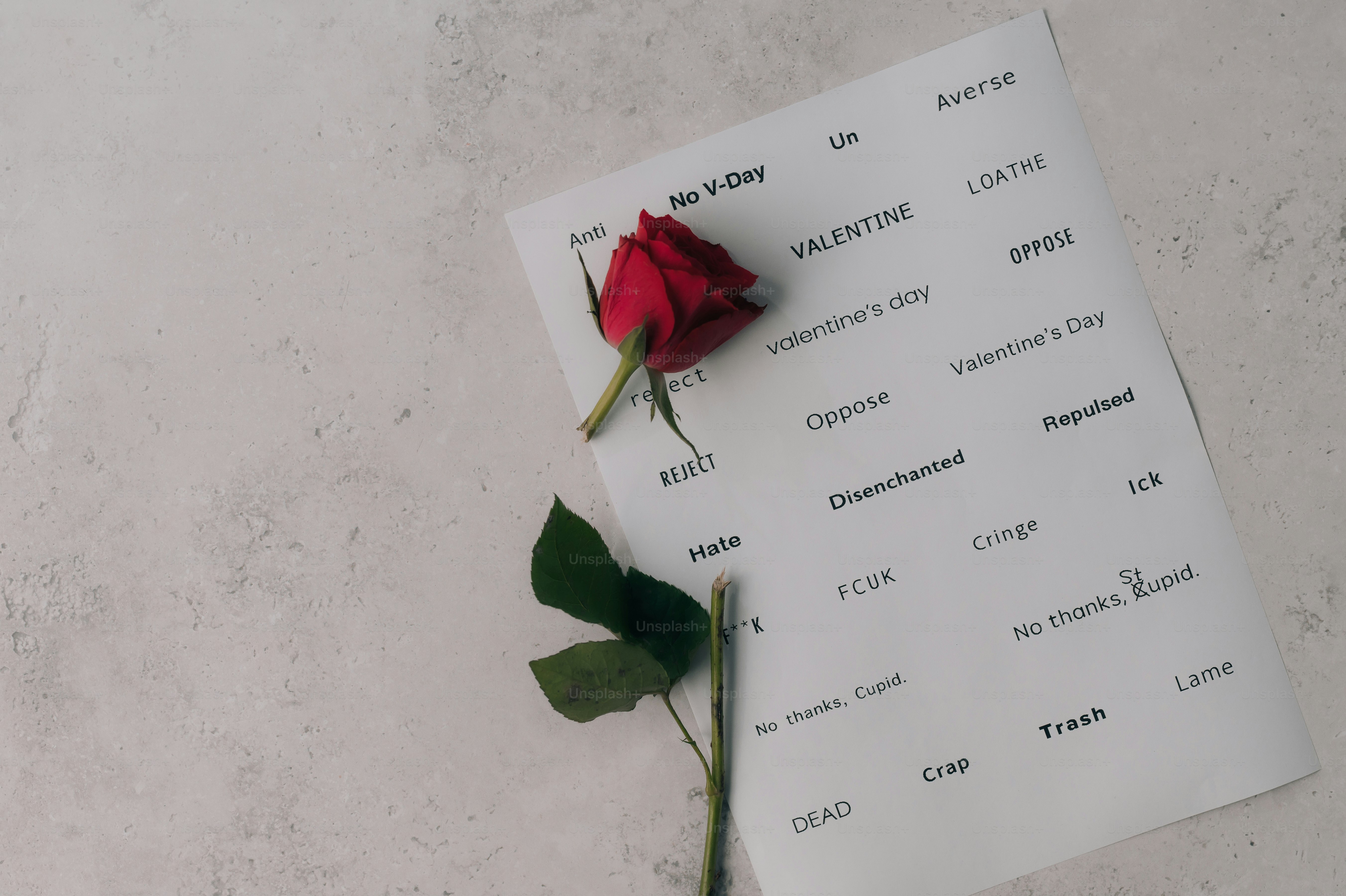 Red rose on paper with valentine's day words