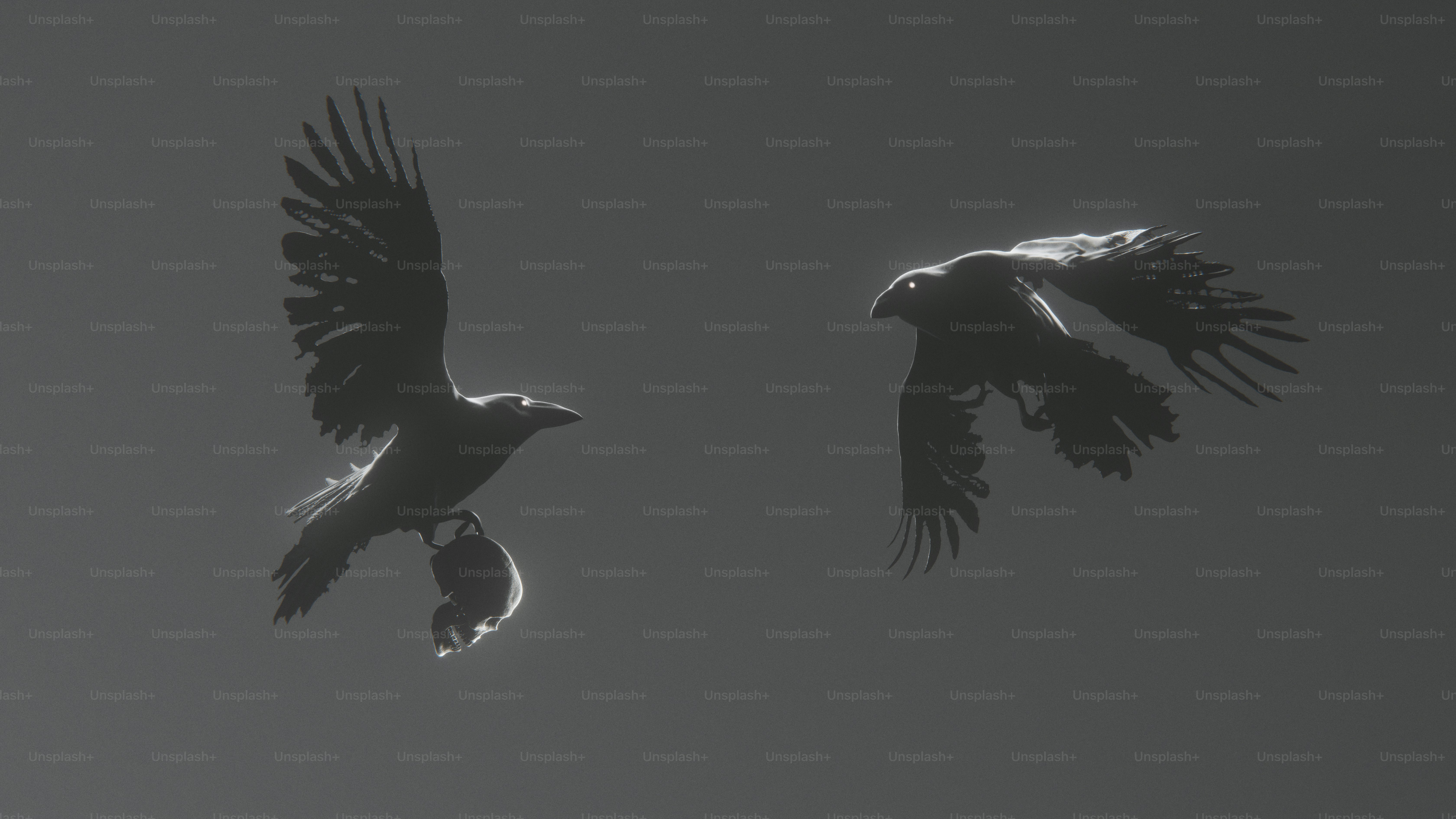 Two crows flying with prey against a gray sky