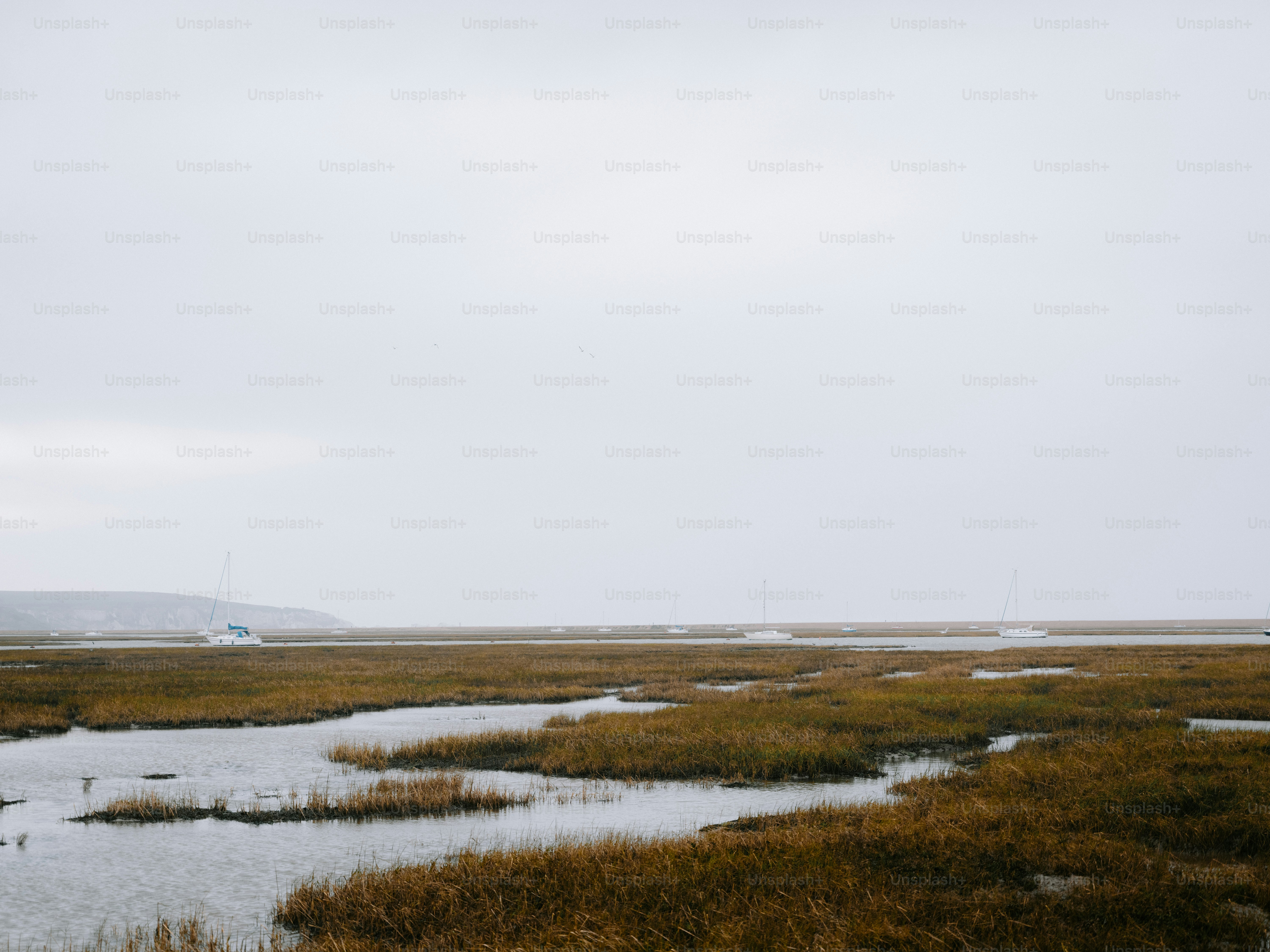 Marais herbeux avec des chenaux sinueux sous un ciel nuageux