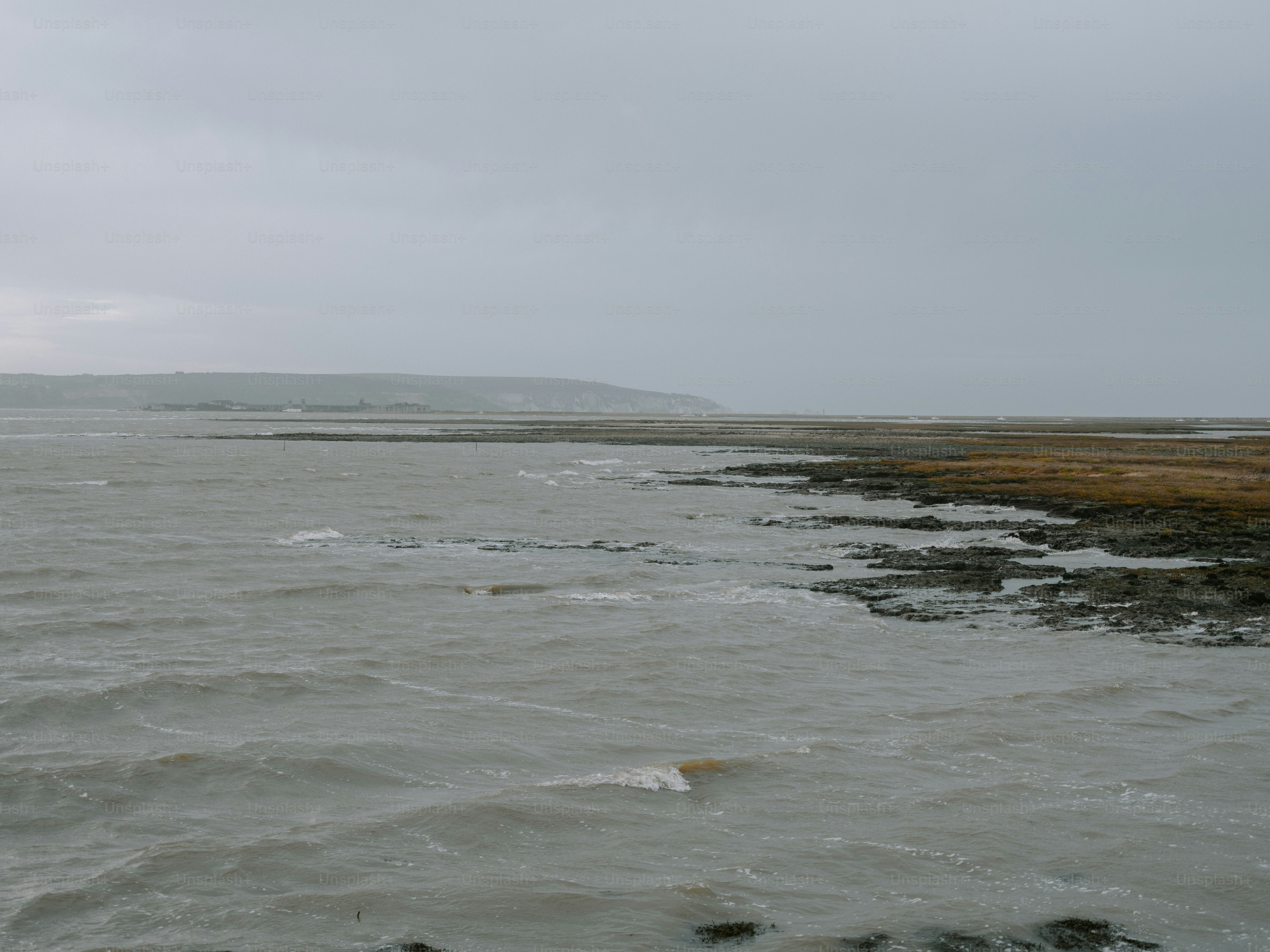 Gray ocean waves lap against a rocky, grassy shore.