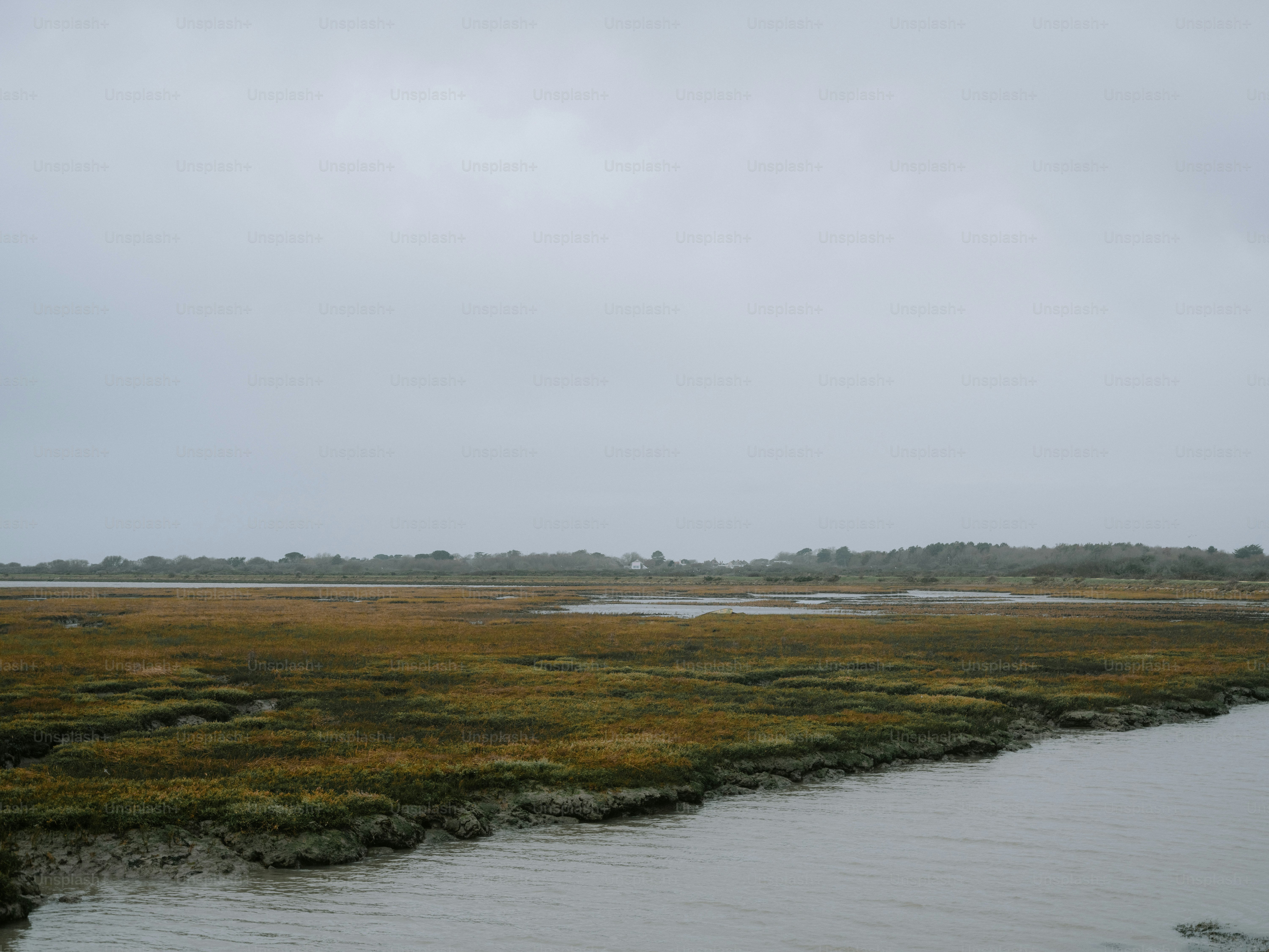湿地帯の水の上空が曇り空。