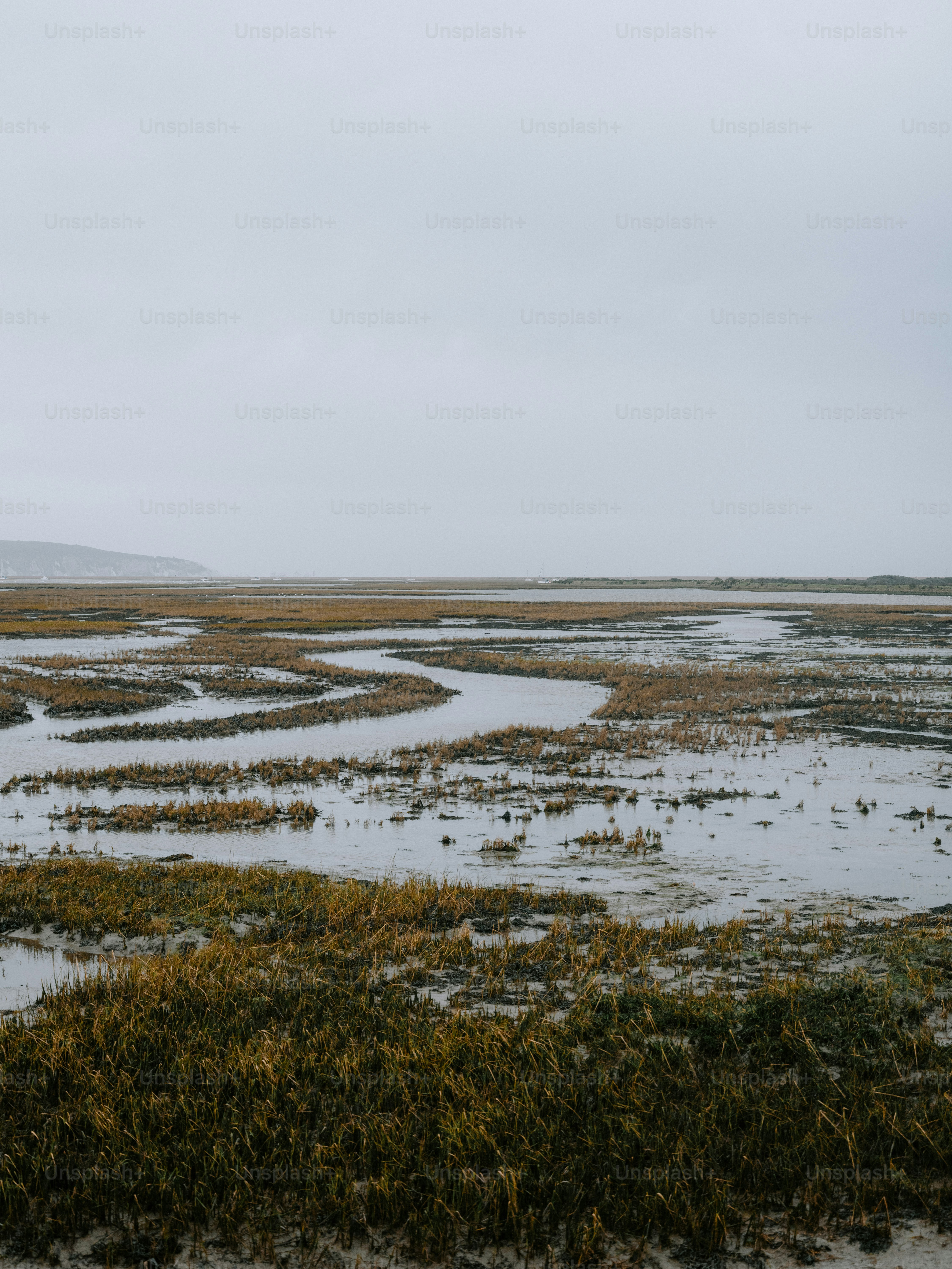 Wetland marsh with winding water channels under overcast sky