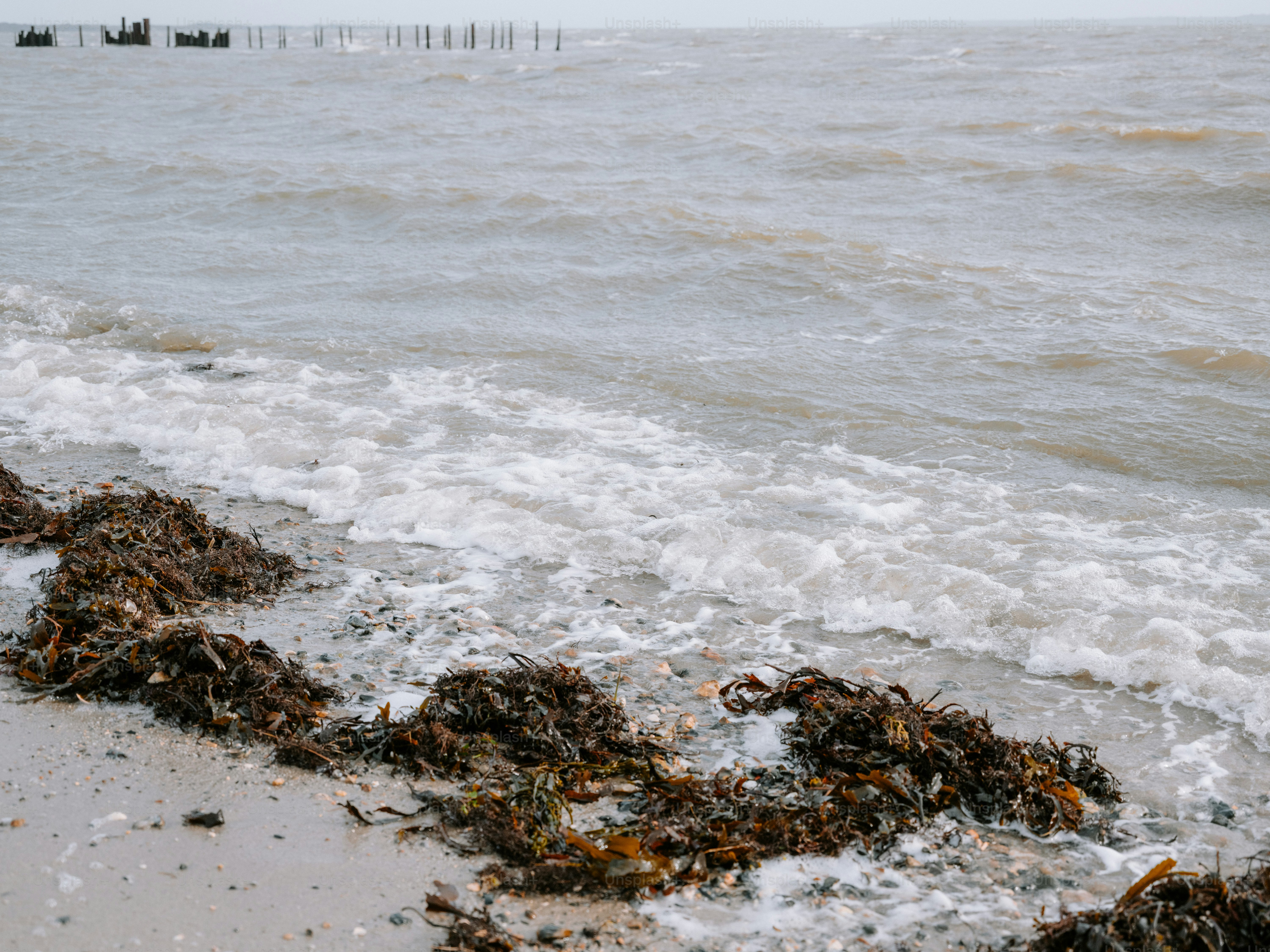 Waves washing ashore on a beach with seaweed.