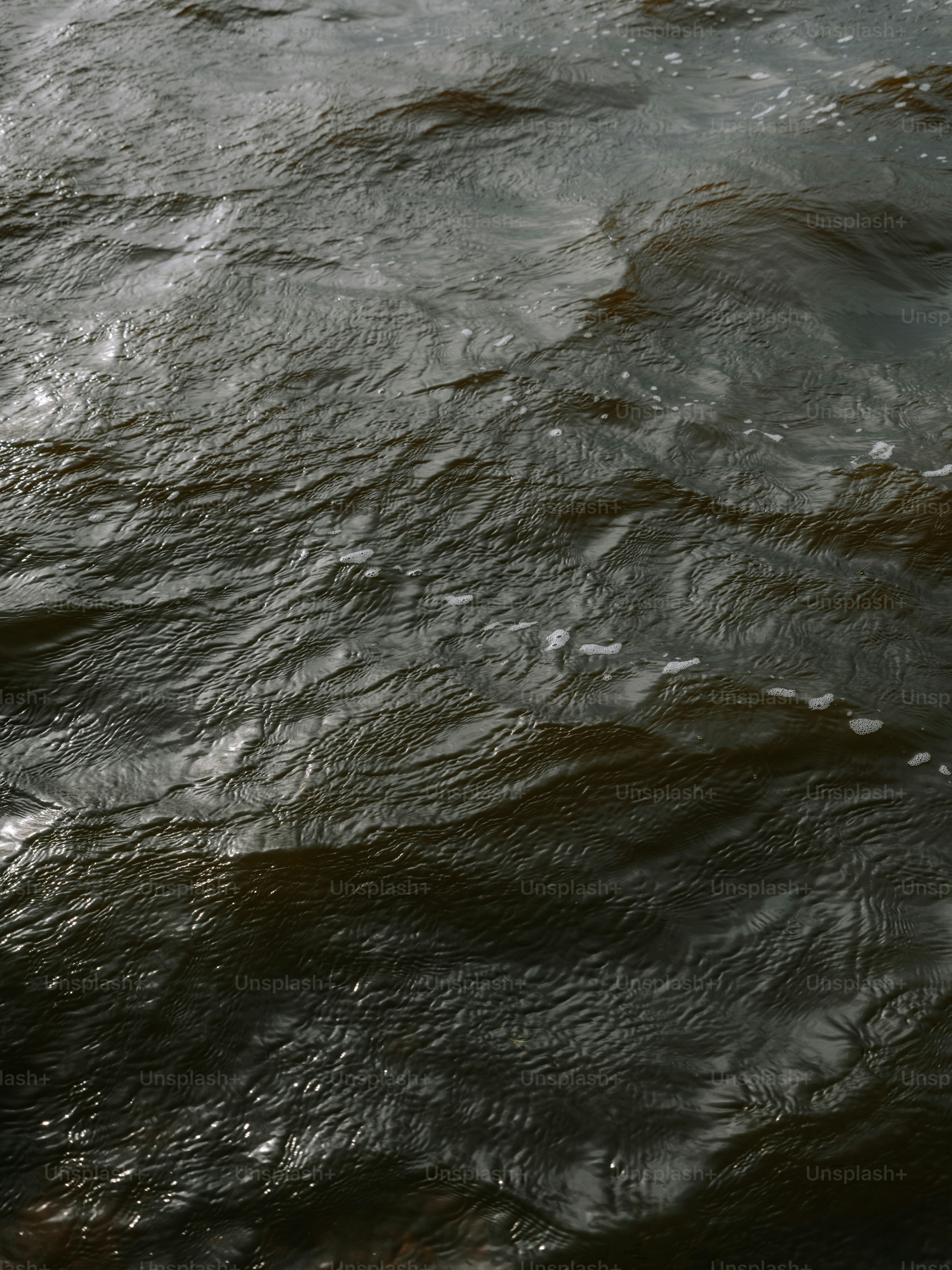 Dark water with small whitecaps and ripples photo – Background Image on ...