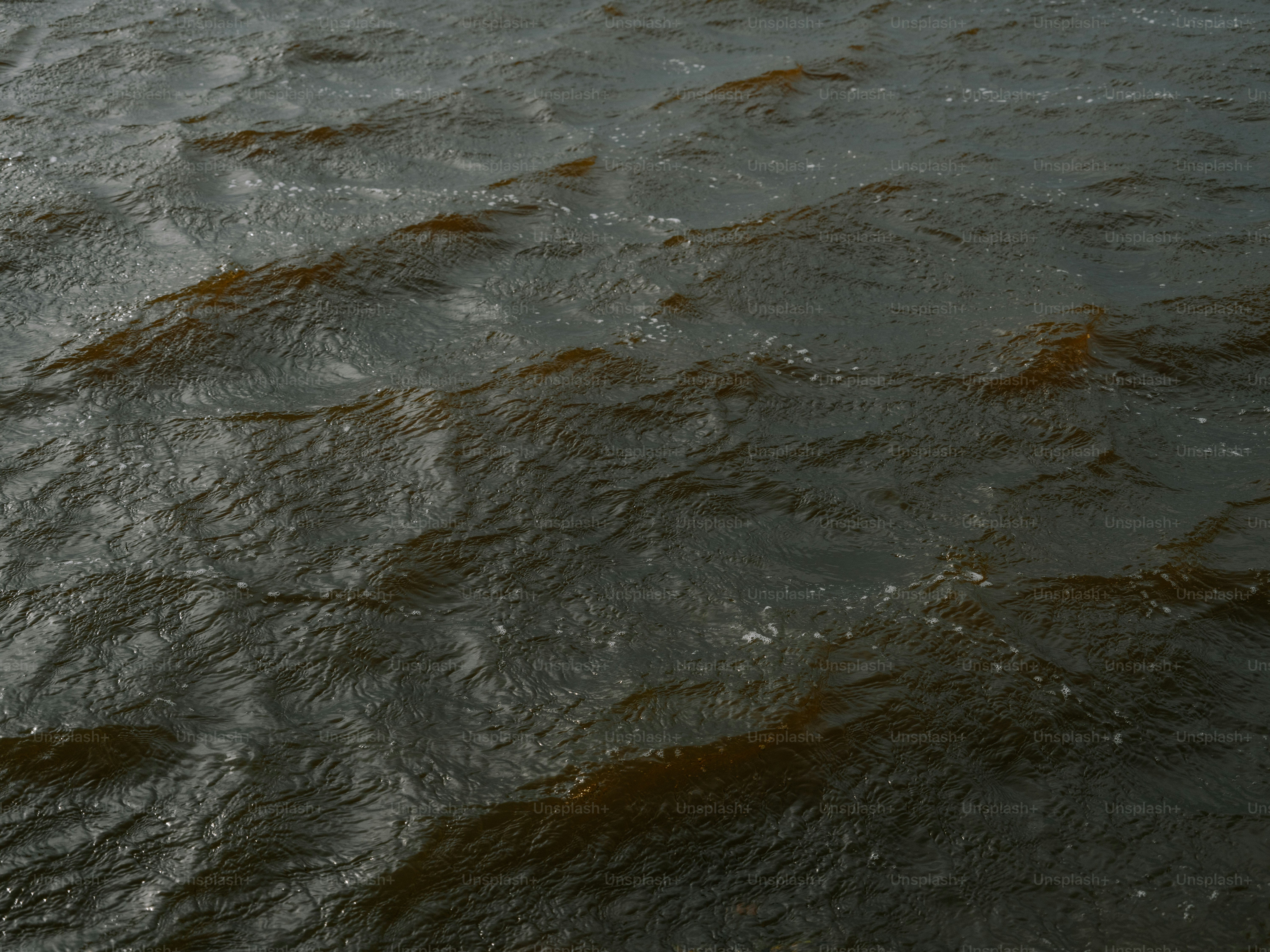 Dark, choppy water surface with ripples