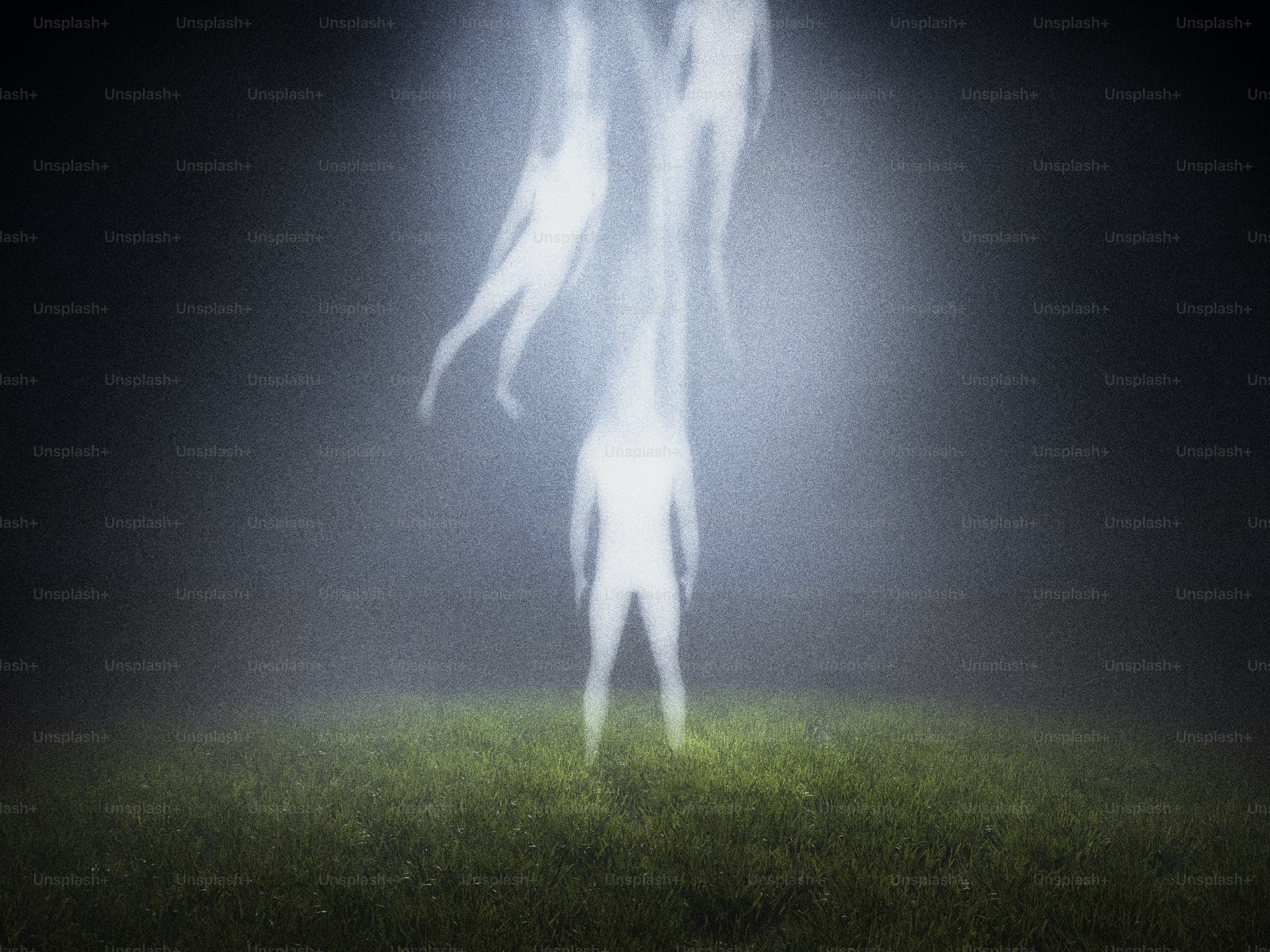 Ätherische Gestalten steigen von einem grasbewachsenen Feld empor