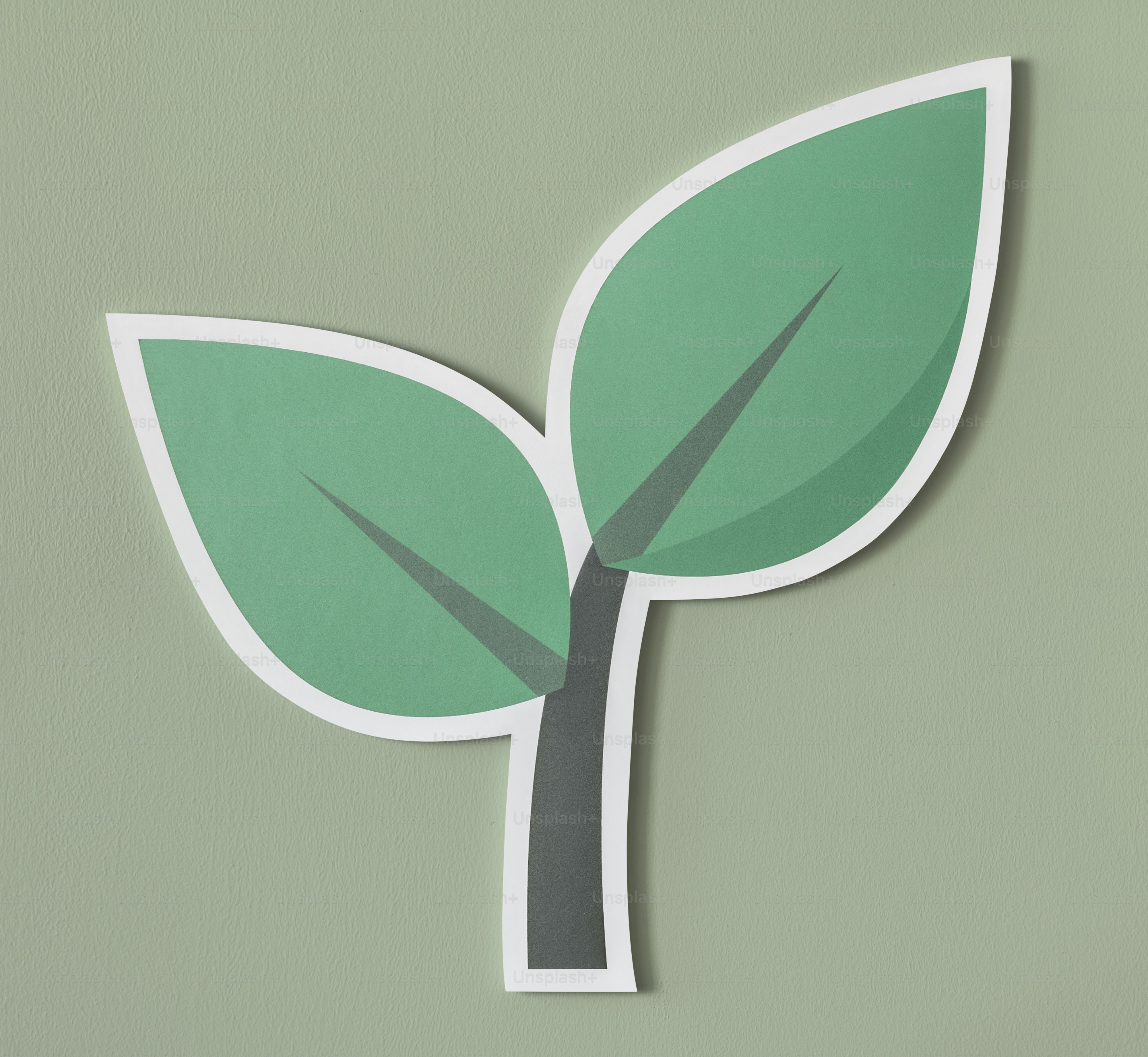 Sustainable and Eco-Friendly Party Hosting