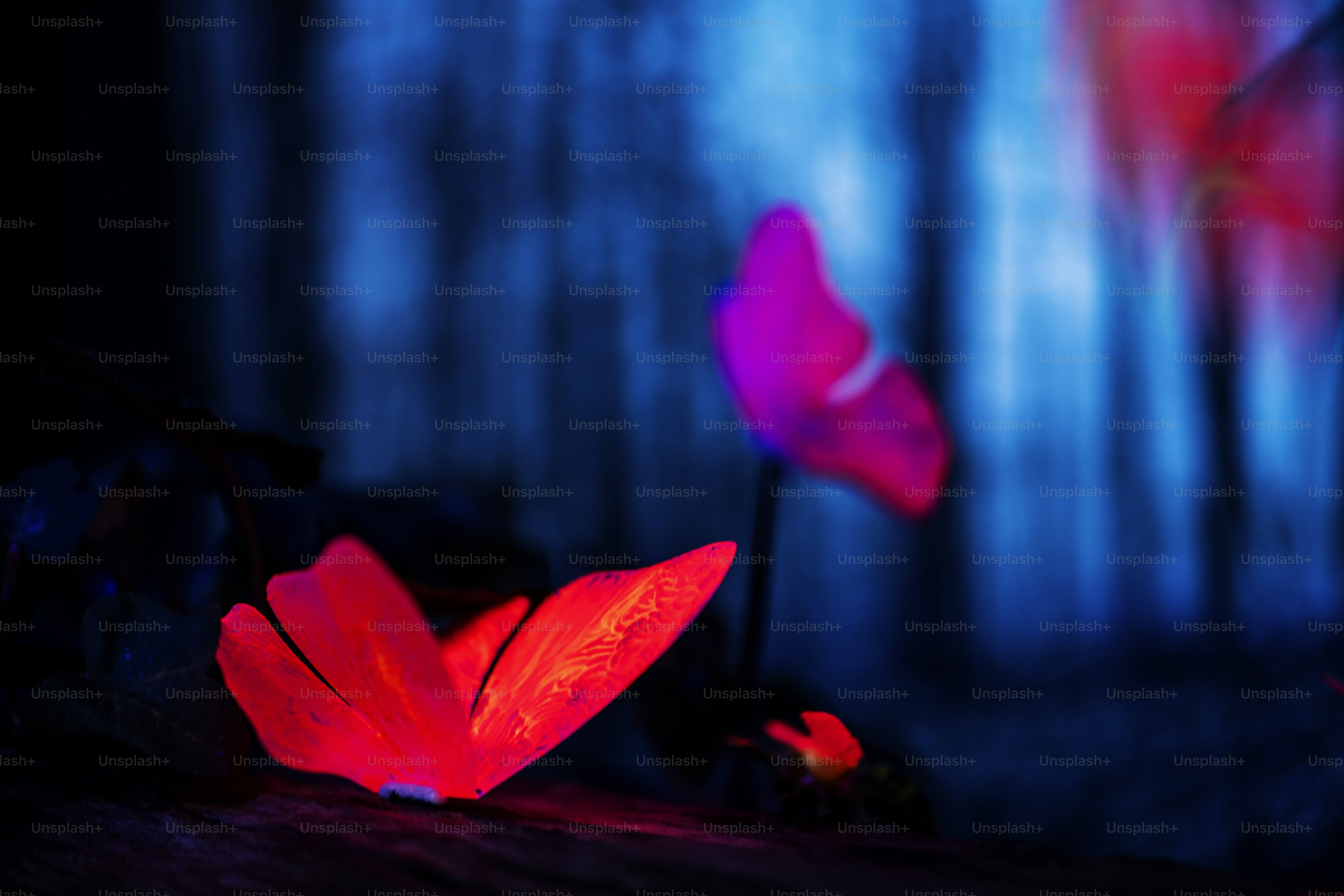 Glowing insects in the night forest