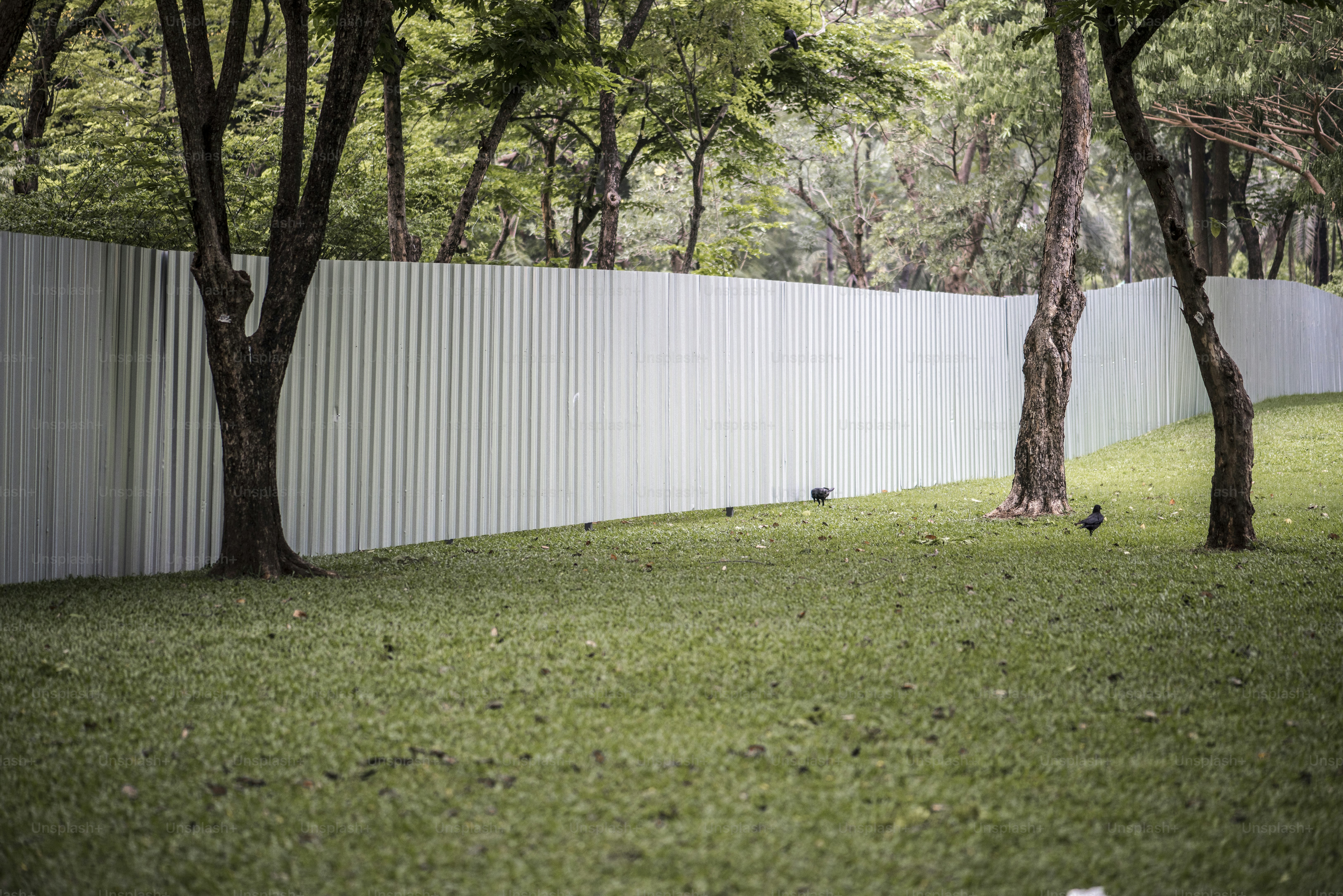 Big fence in an urban park