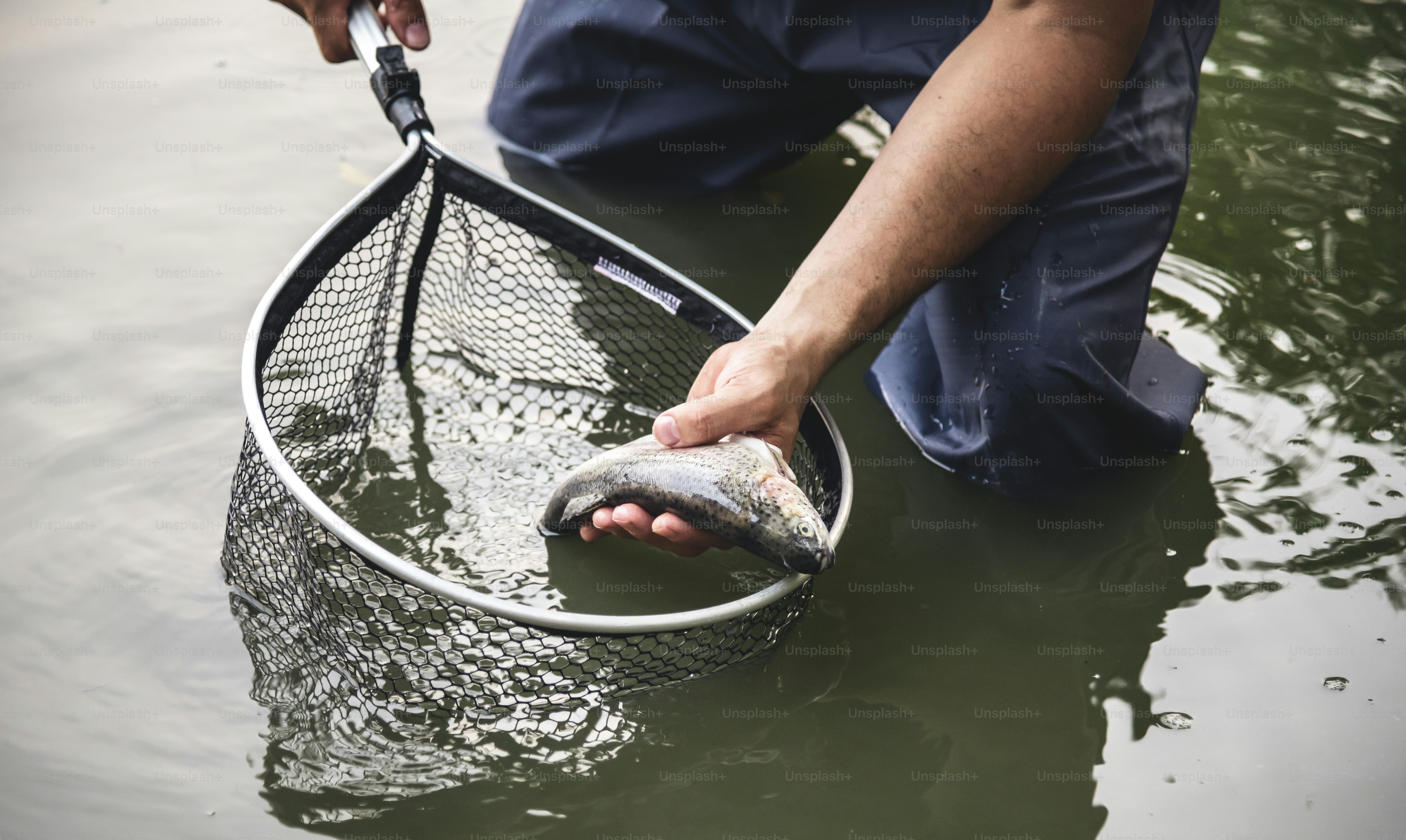Pria memancing di tepi danau