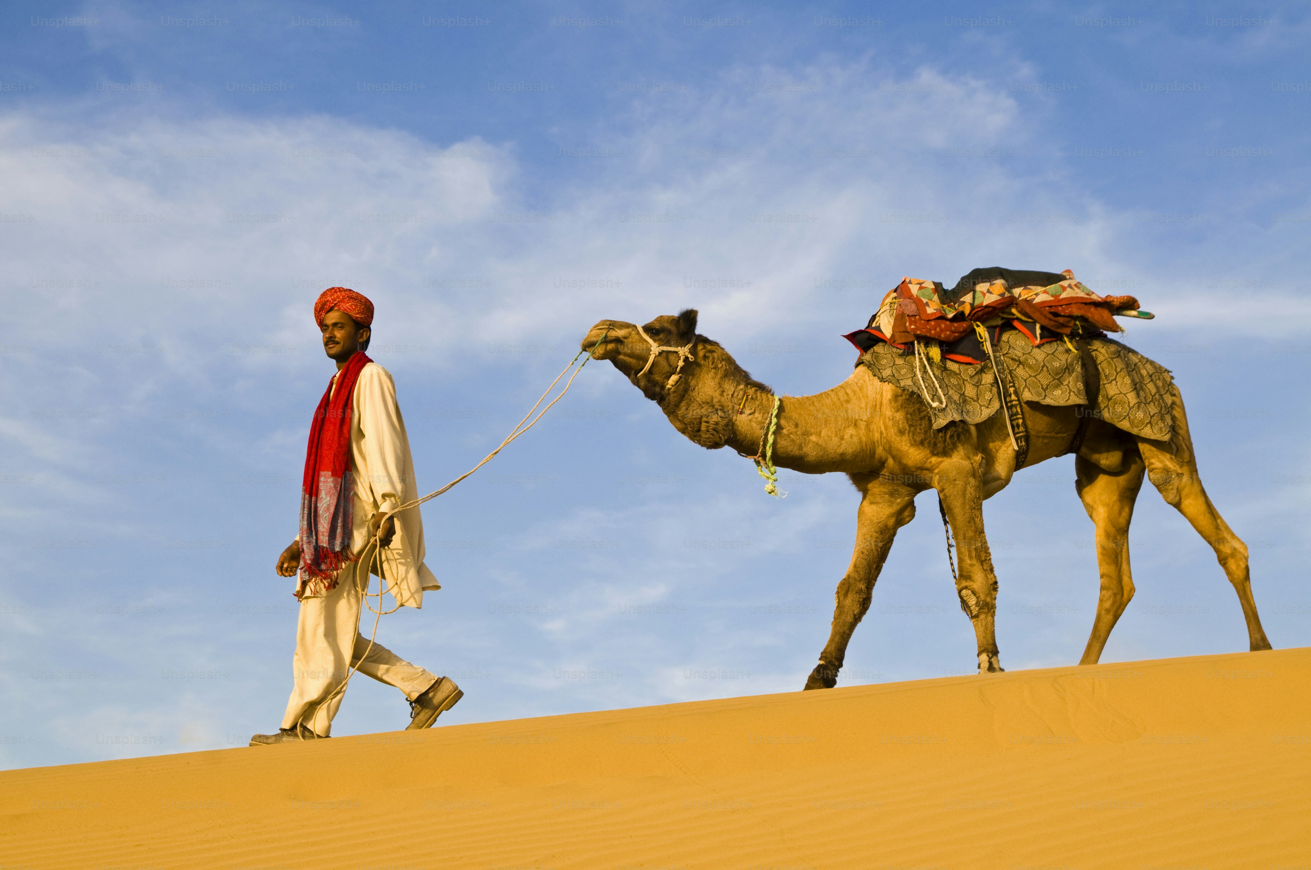 Desert Festival