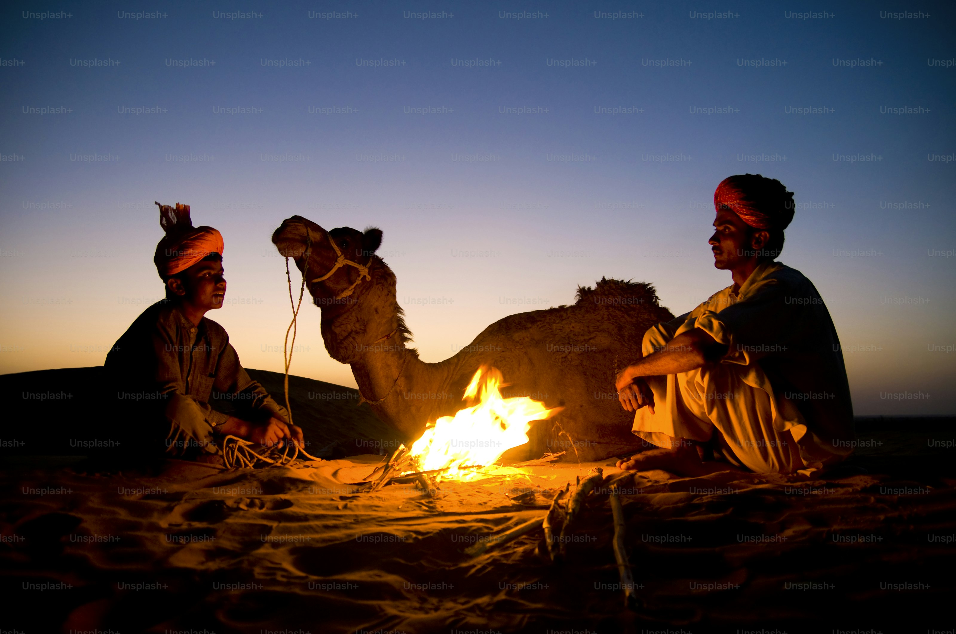 Two men and a camel by a campfire at dusk.