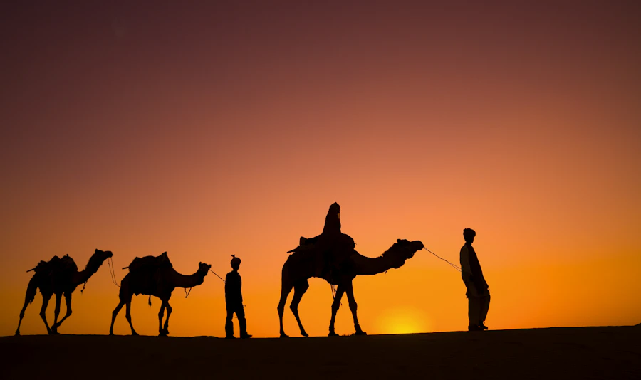 Camel caravan crossing the Thar desert at sunset