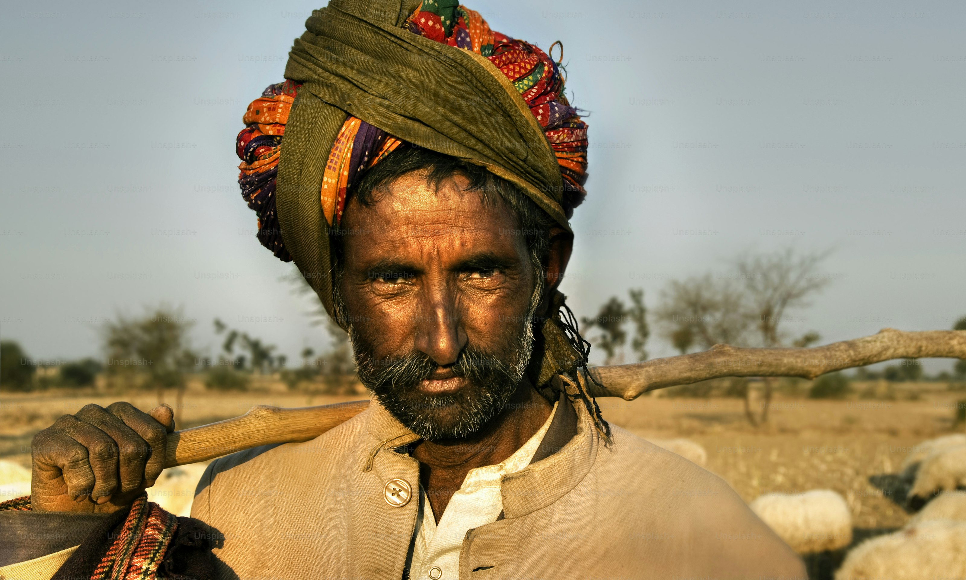 Man with turban and stick carrying sheep