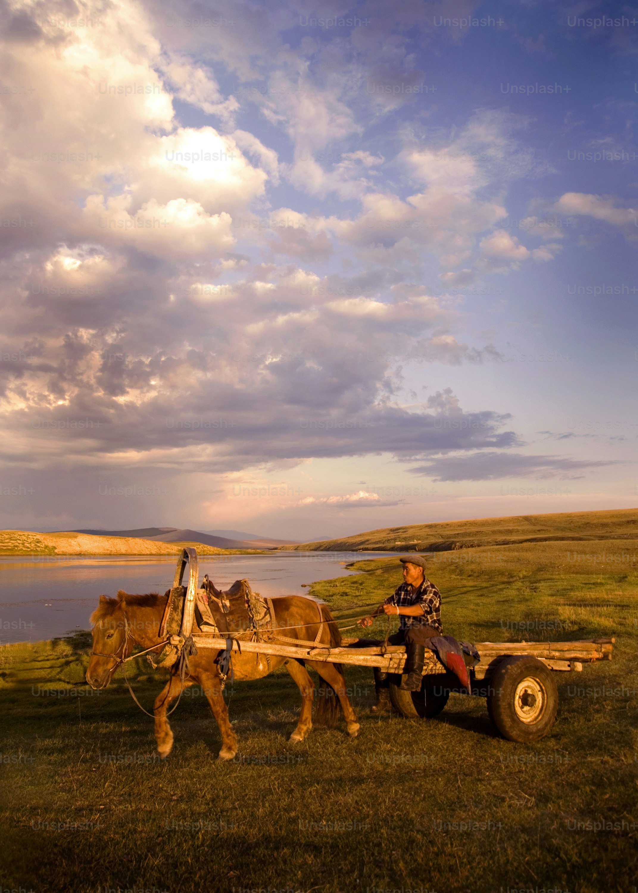 Uomo che guida un carro trainato da cavalli vicino a un lago al tramonto