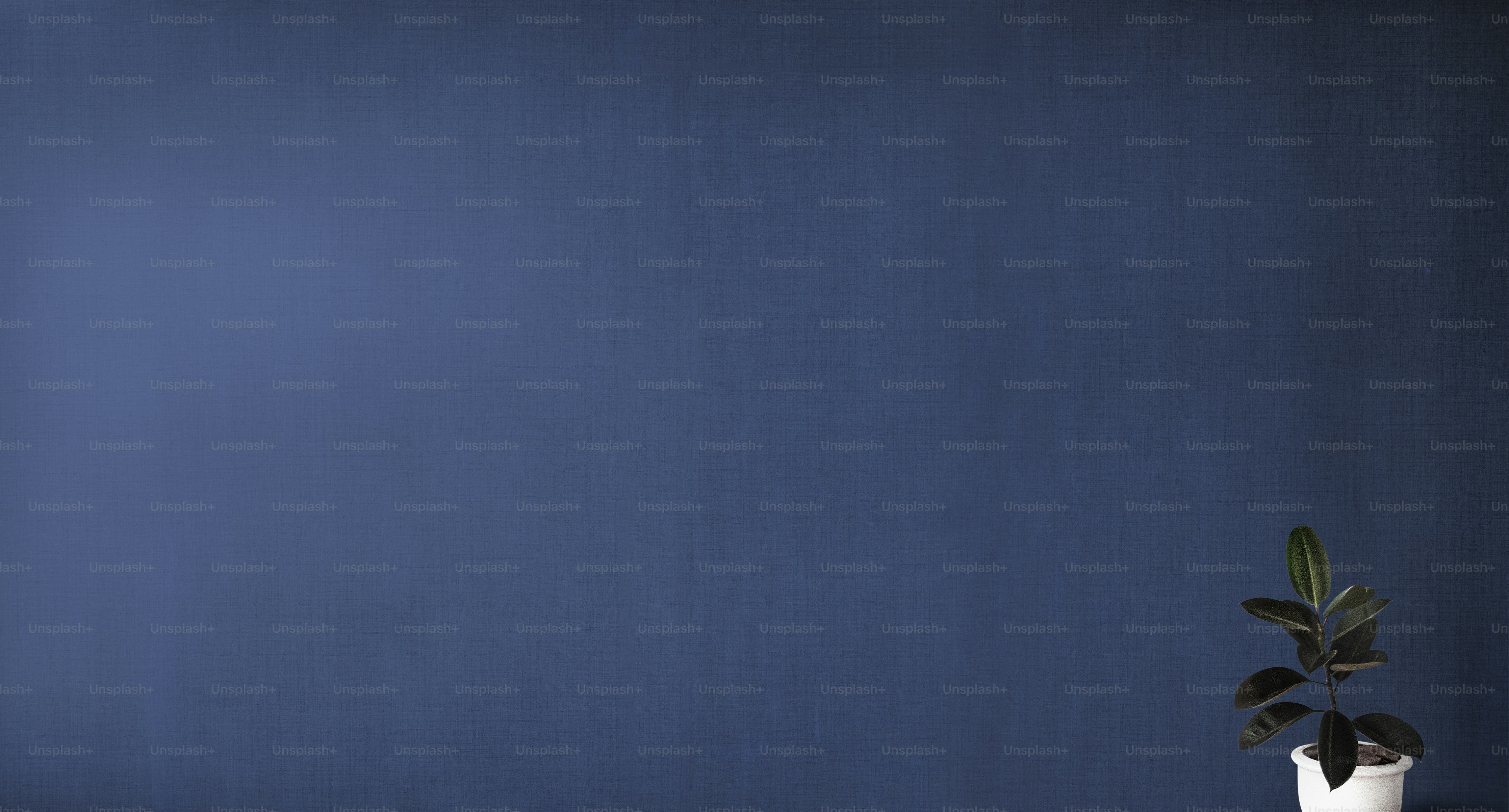 Plant against a navy blue wall mockup