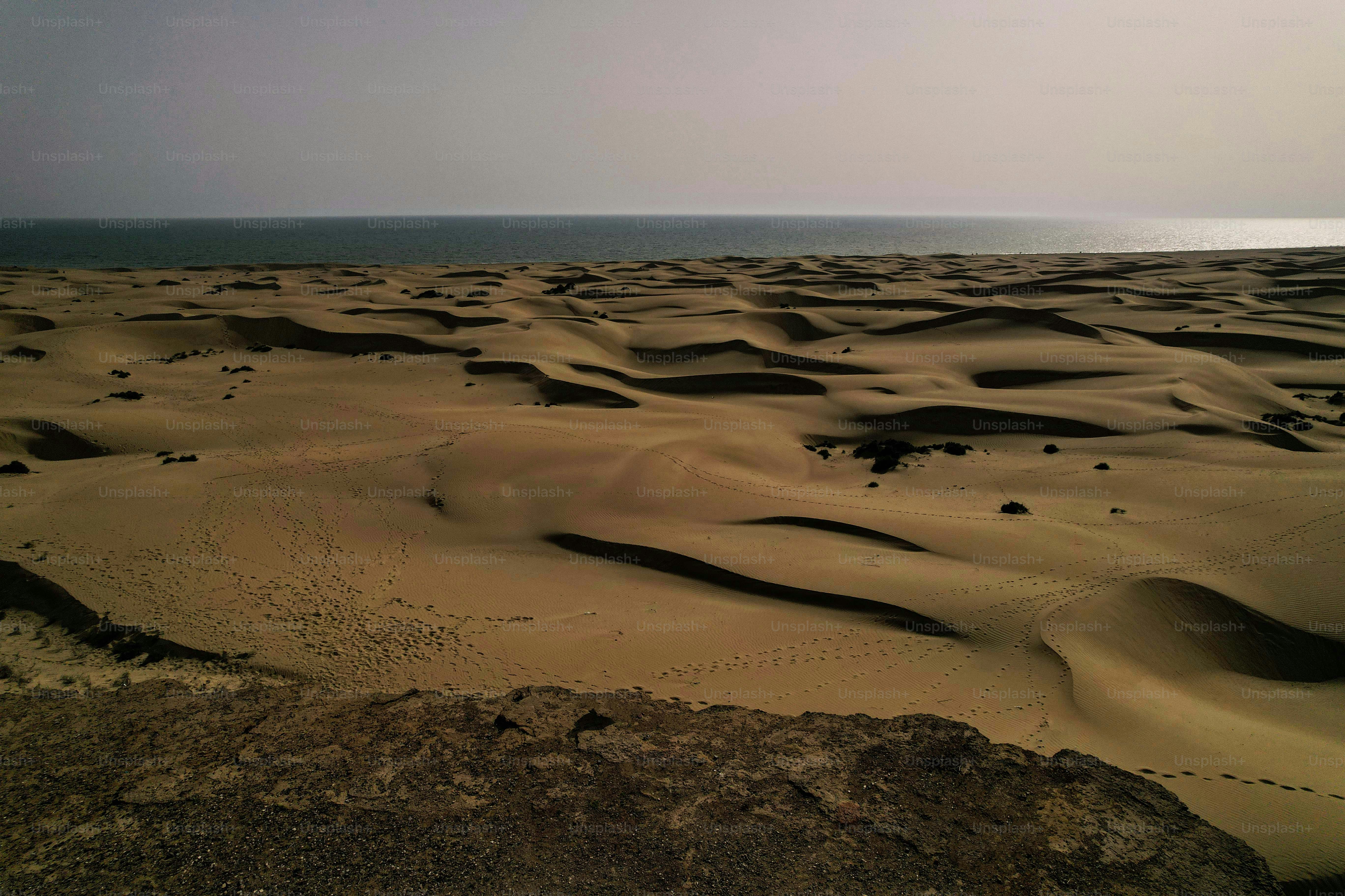 Sandy dunes stretch towards the ocean under a hazy sky.