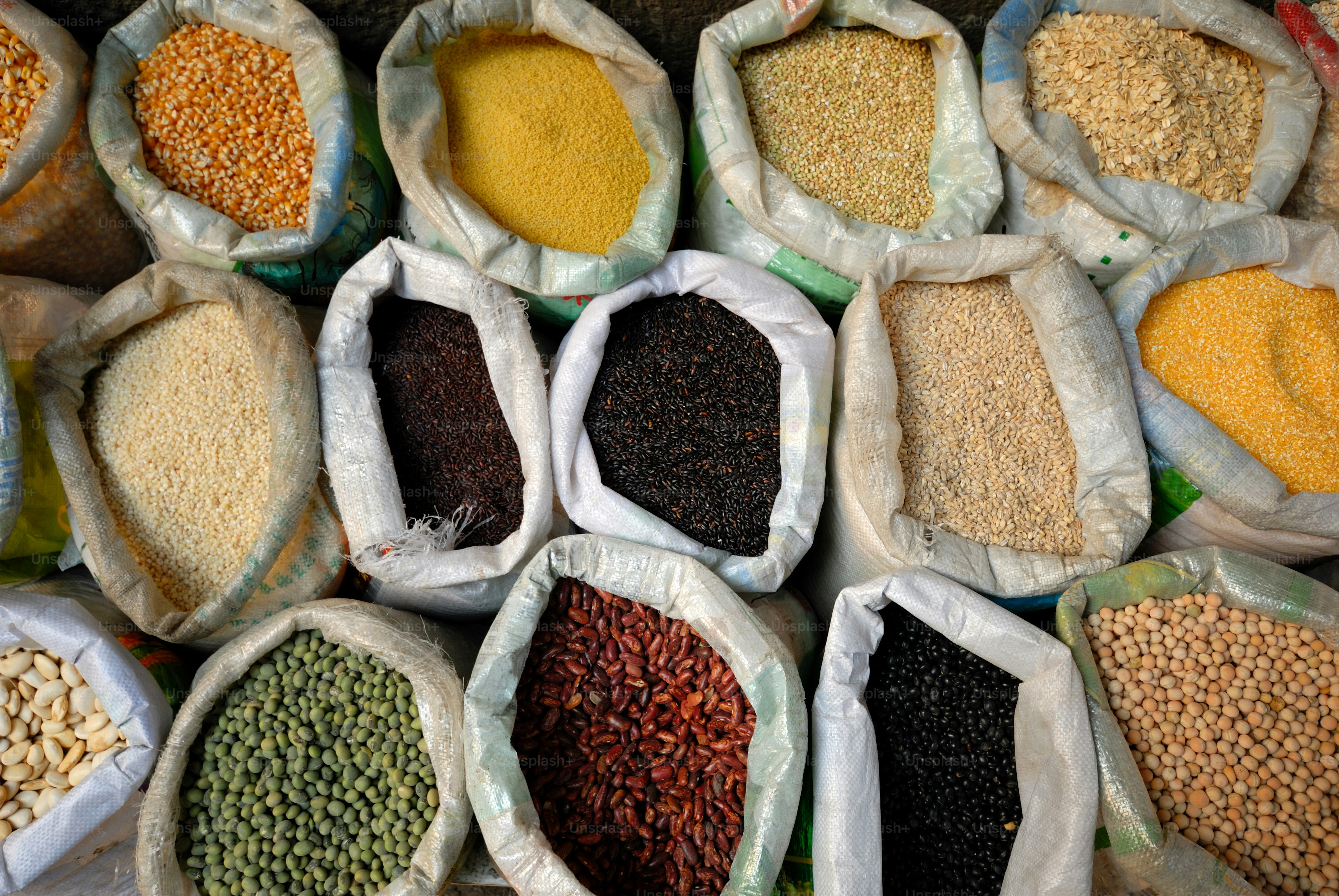 premium_photo-1769929334743-27a3148e8556?ixid=M3wxMjA3fDB8MXxzZWFyY2h8OXx8YWdybyUyMGV4cG9ydCUyMHNlcnZpY2VzfGVufDB8fHx8MTc3MDA3ODAyNnww\u0026ixlib=rb-4.1.0