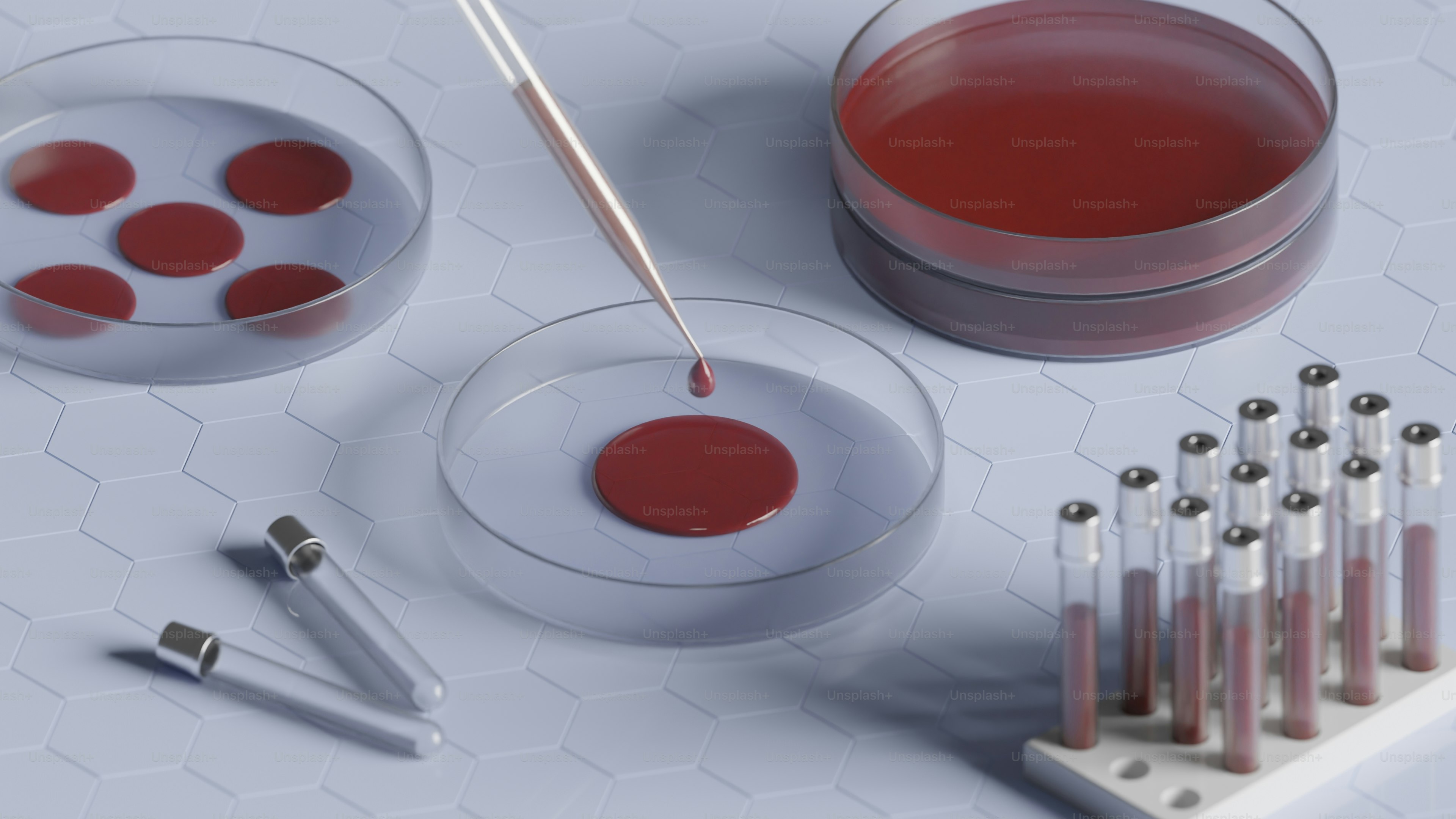 ピペットでペトリ皿に赤い液体を加え、サンプルを採取します。