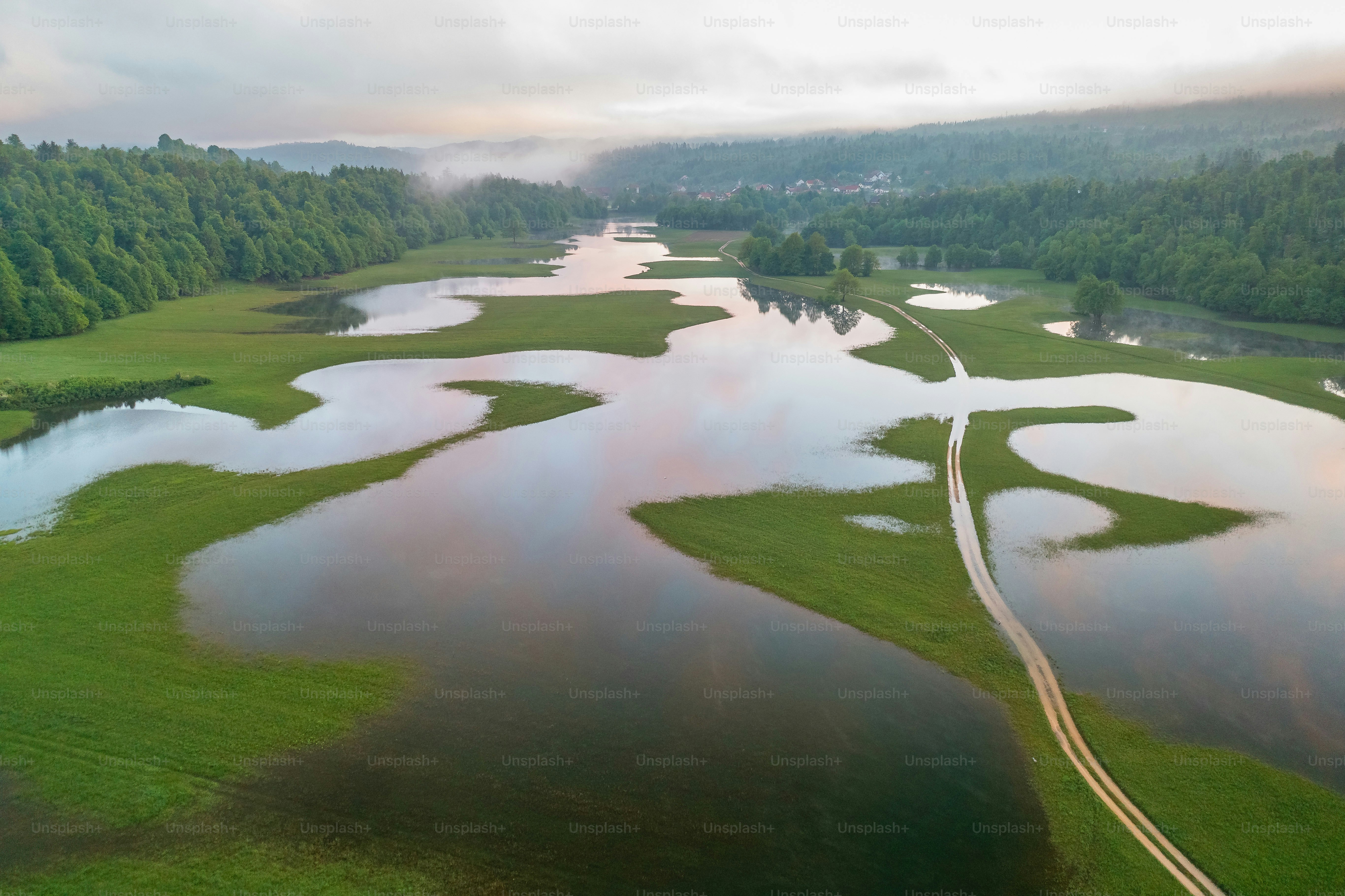 Paysage vert inondé avec un sentier et des arbres lointains
