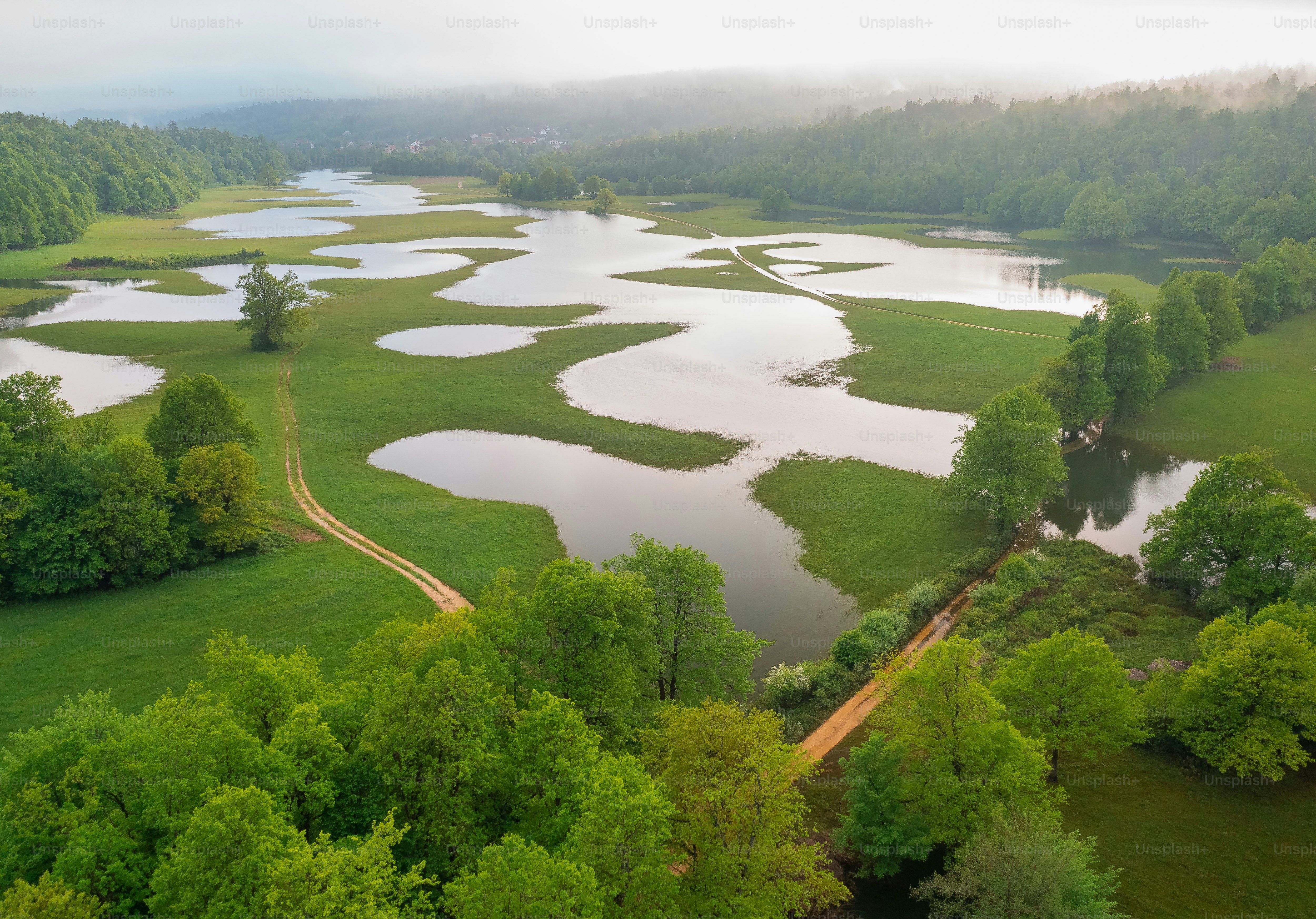 Paysage verdoyant luxuriant avec des cours d’eau sinueux et des arbres