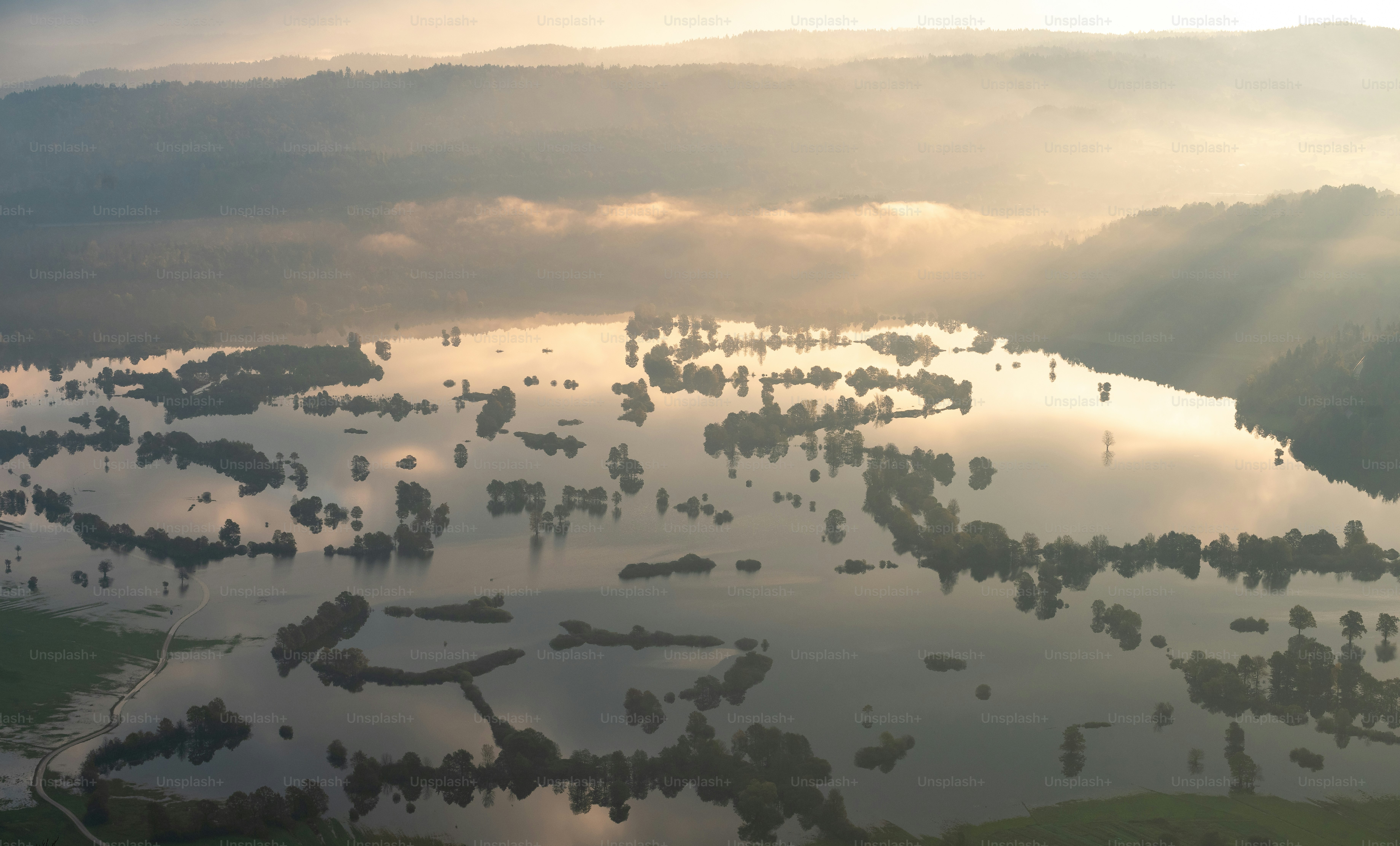 Überflutete Landschaft mit Bäumen, die bei Sonnenaufgang aus dem Wasser auftauchen