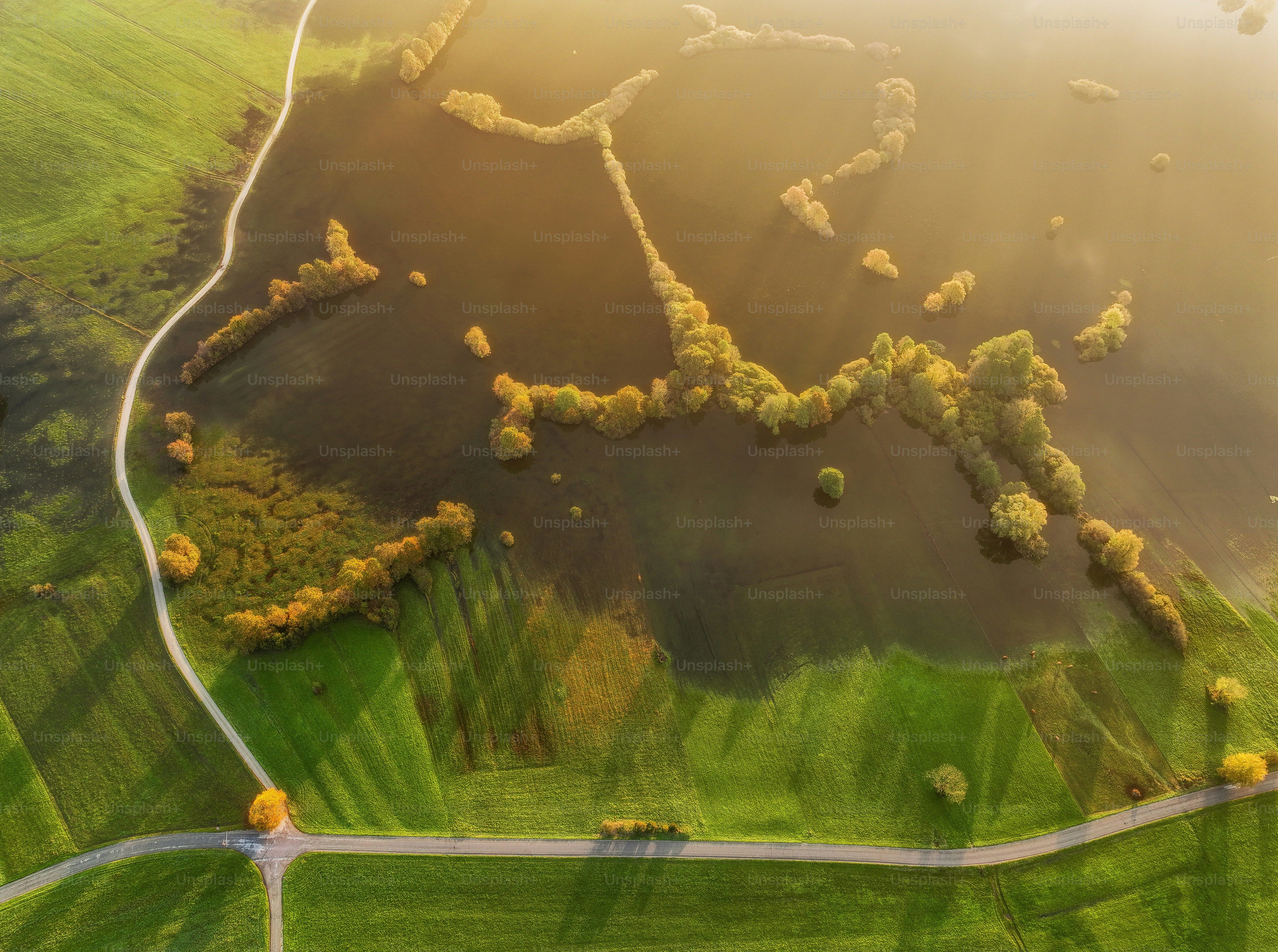 Vue aérienne des champs et des arbres inondés au coucher du soleil.