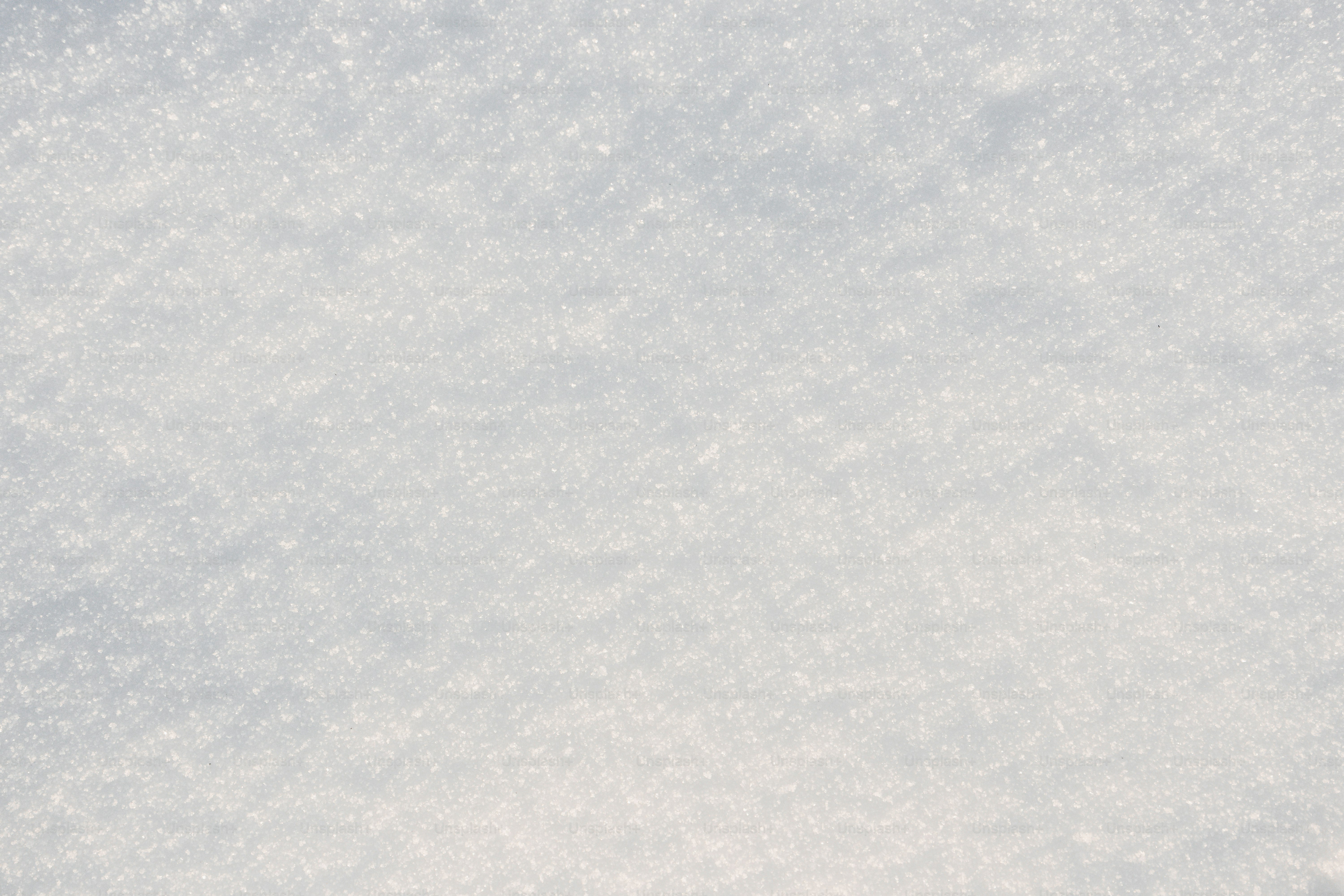 A close-up view of fresh, white snow.