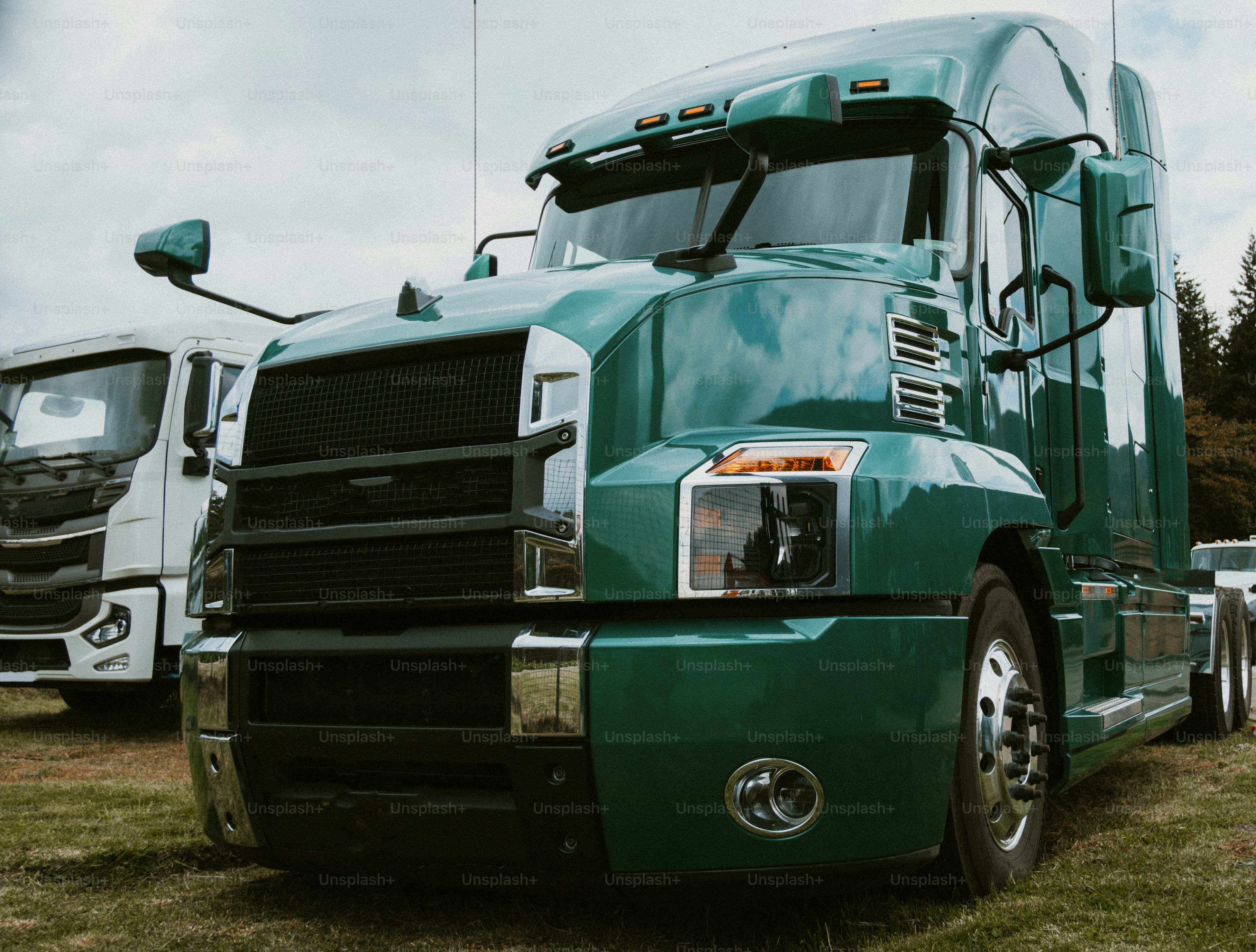 잔디밭에 주차된 초록색 대형 트럭.