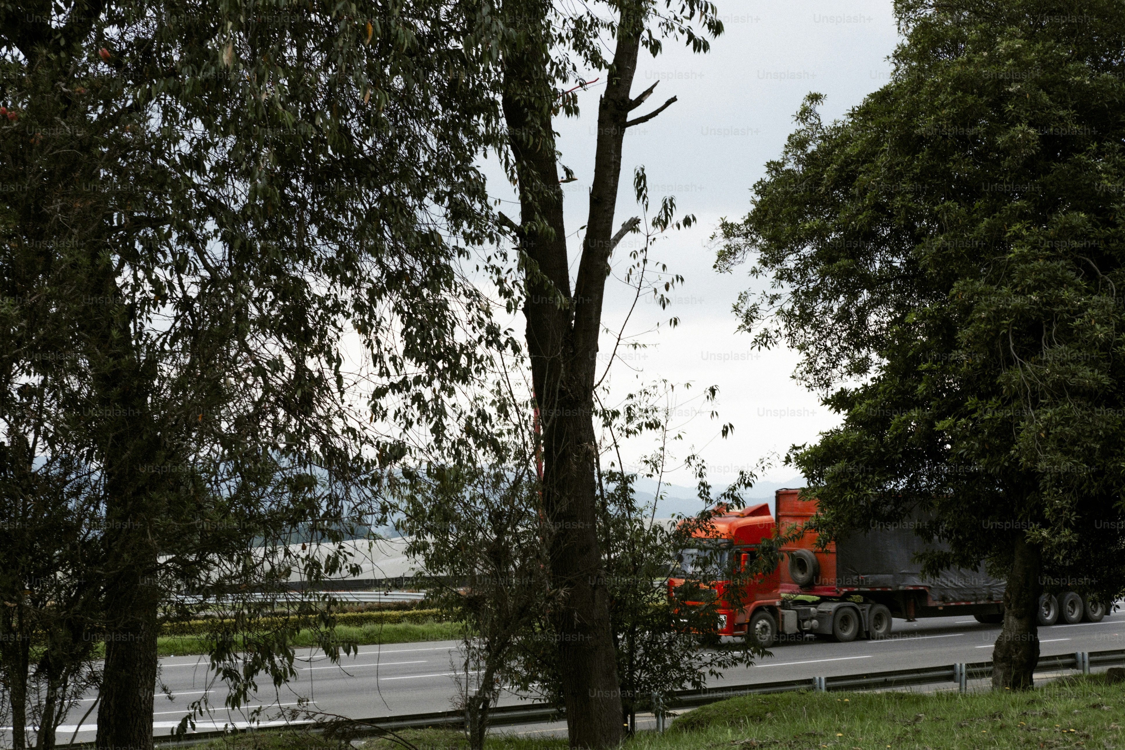 나무 사이를 뚫고 고속도로를 달리는 주황색 트럭