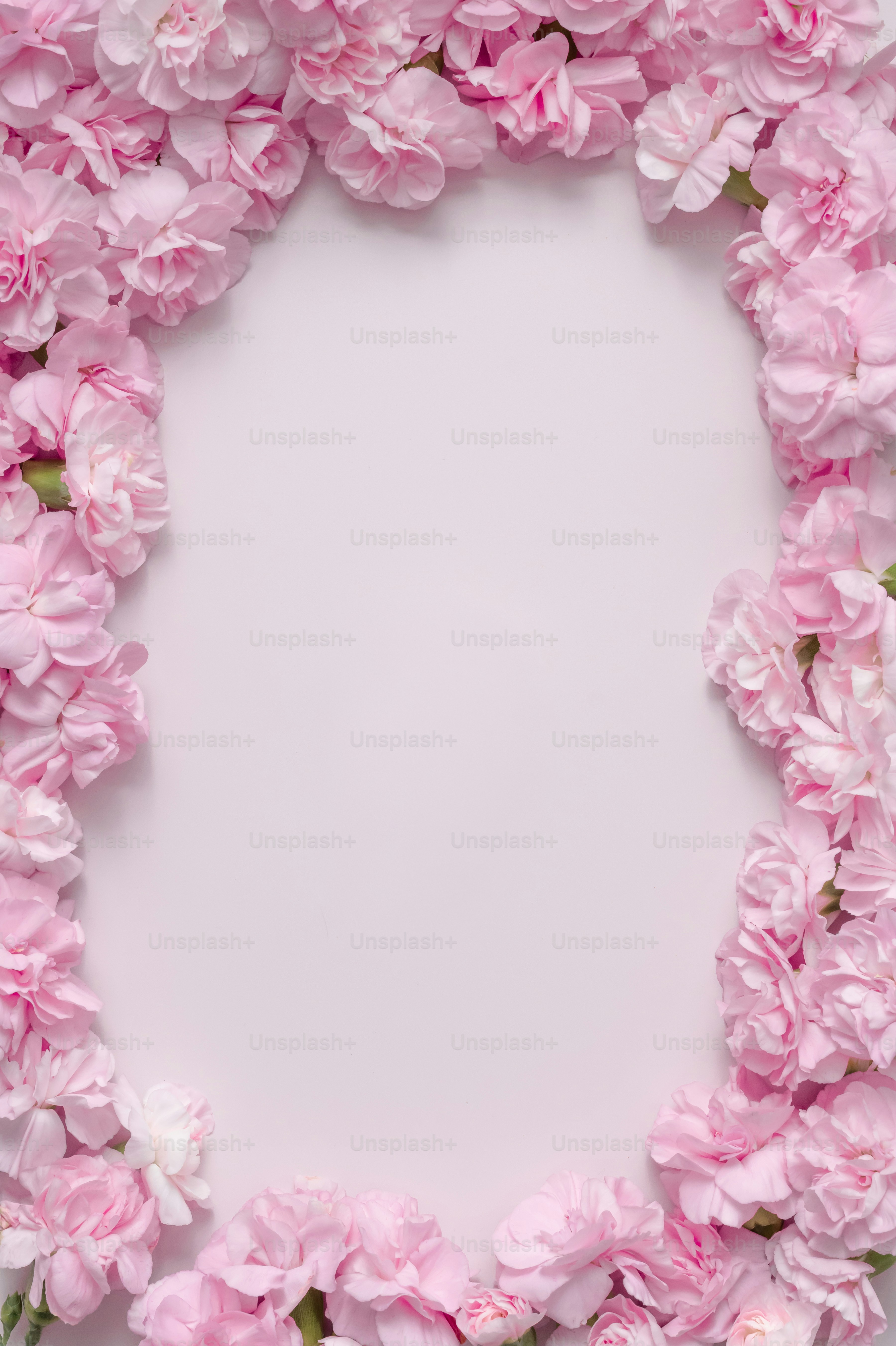 밝은 배경에 섬세한 분홍색 꽃들이 놓인 액자