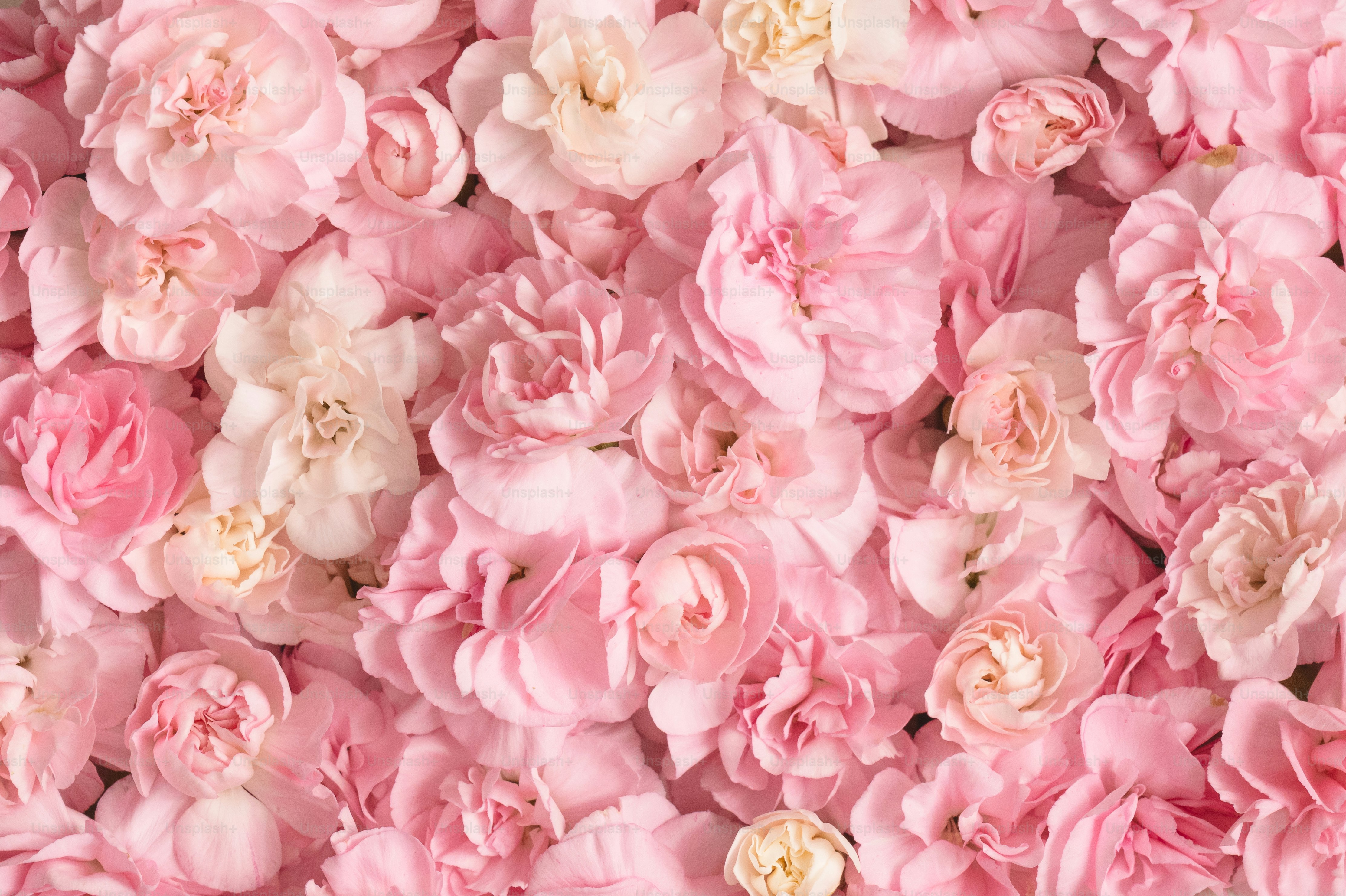 분홍색과 흰색 꽃들이 아름답게 꽂혀 있었다.