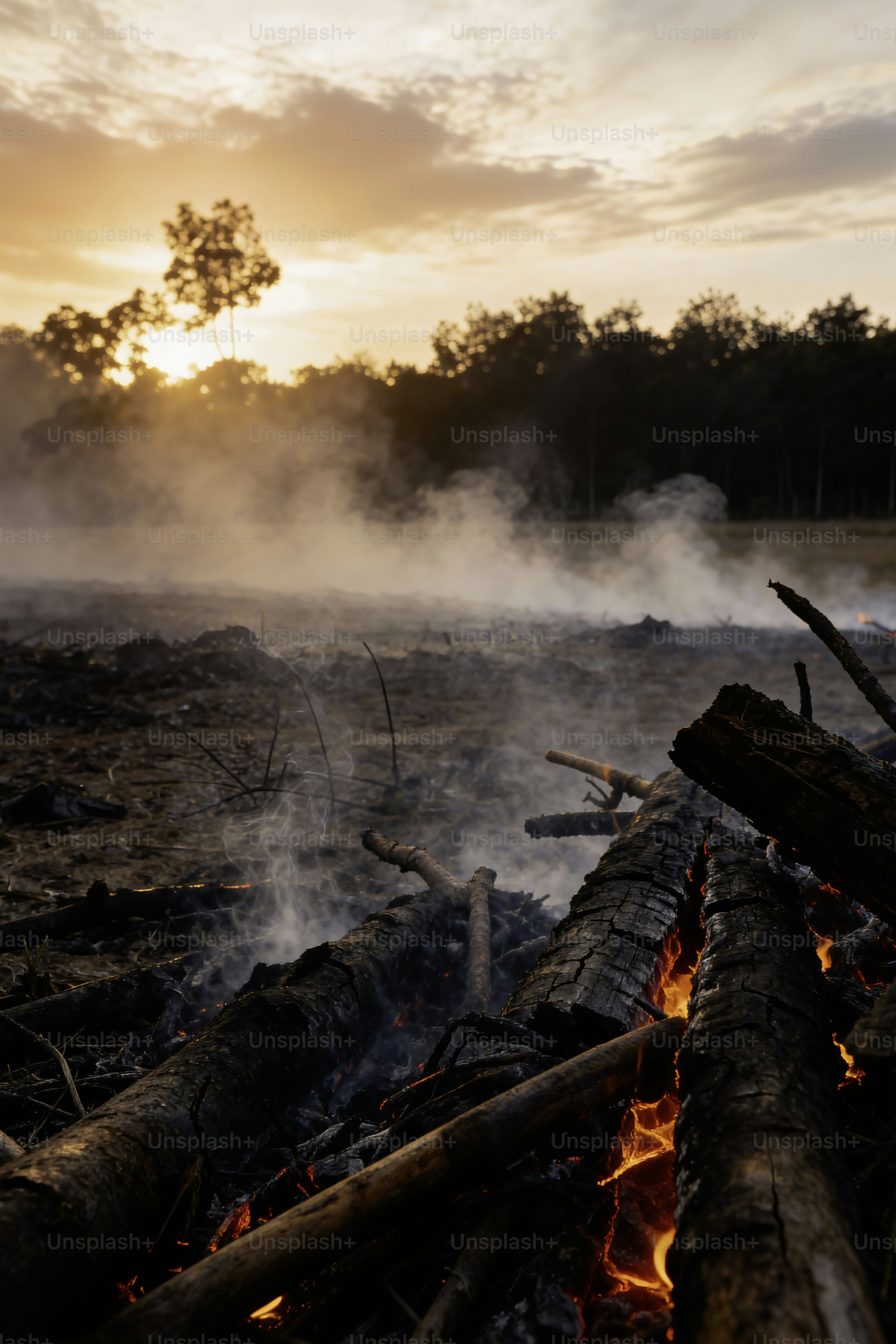 Brucio del falò al tramonto