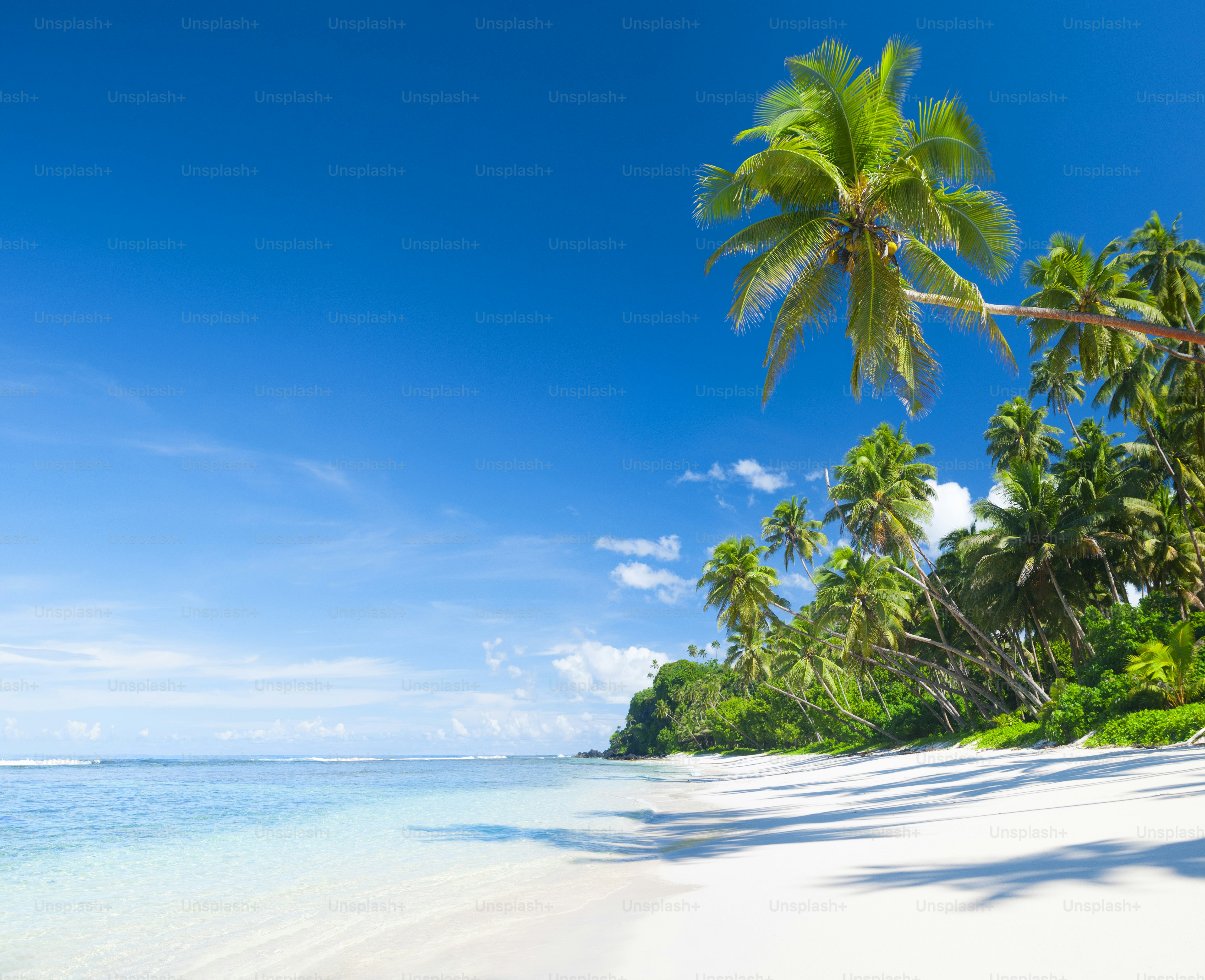 Summer beauty and sweat-resistant skincare products for tropical climate routines