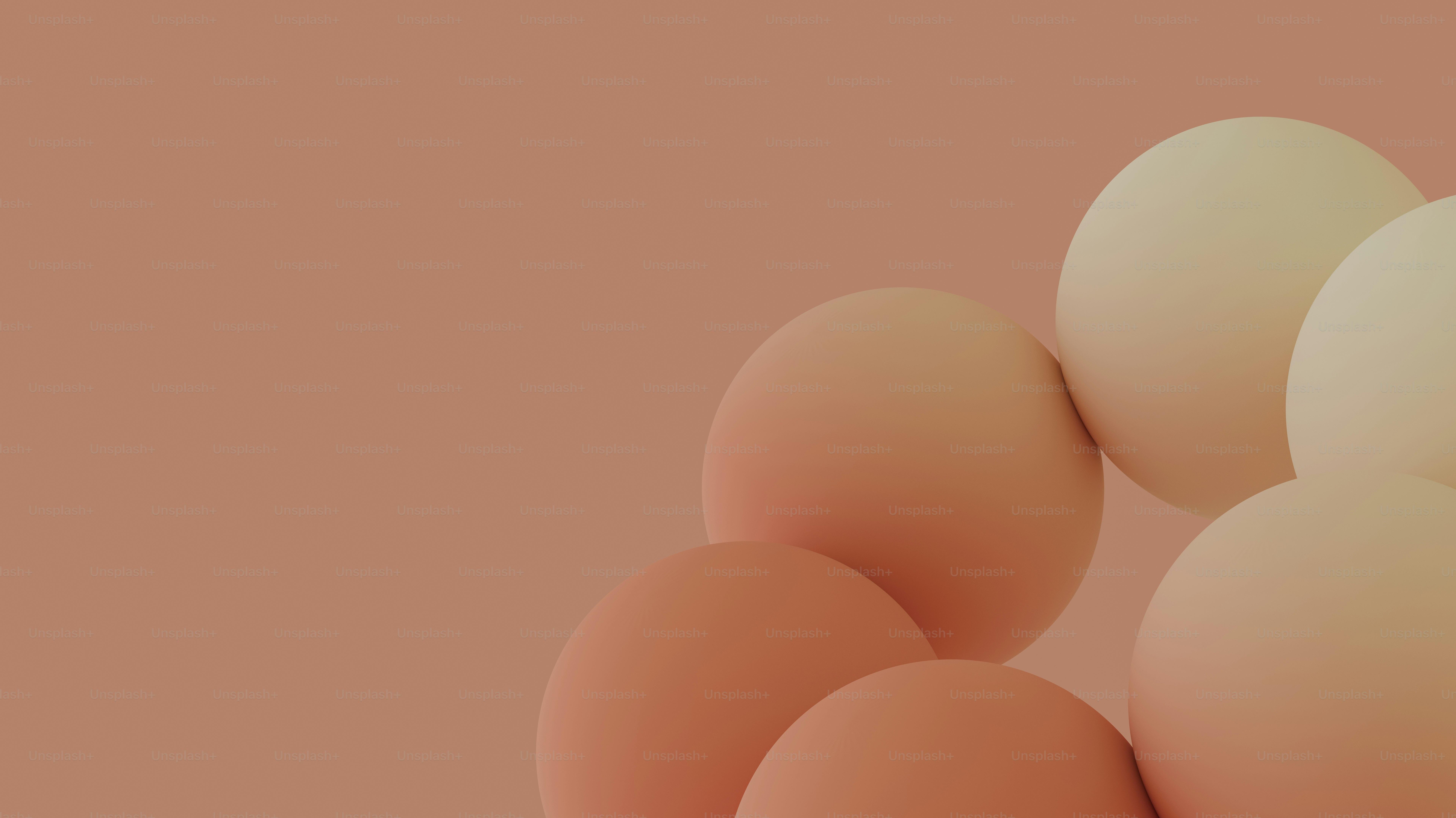 Several brown and white eggs on a plain background.