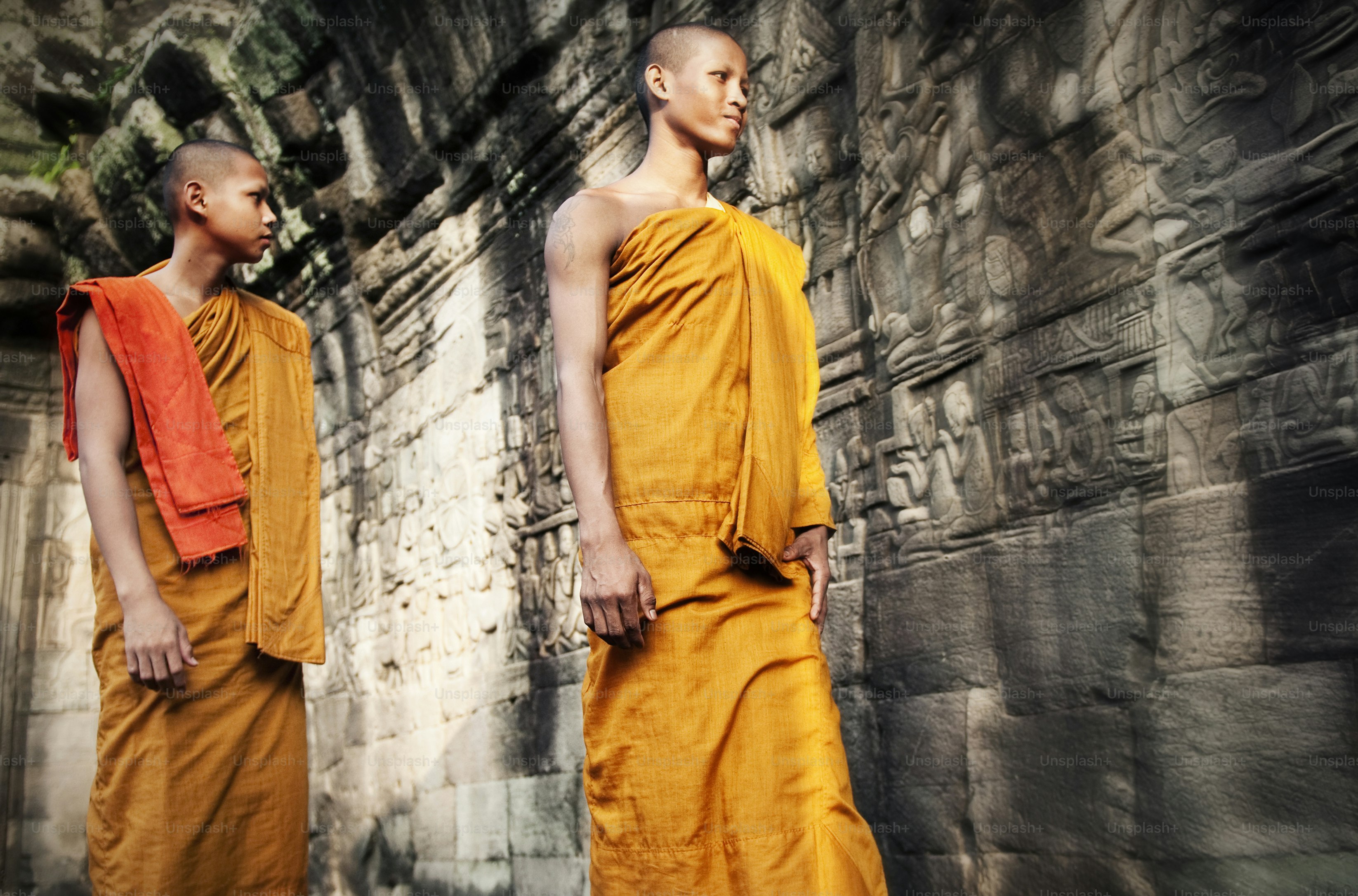 Culture Contemplating Monk Buddhism Traditional Concept