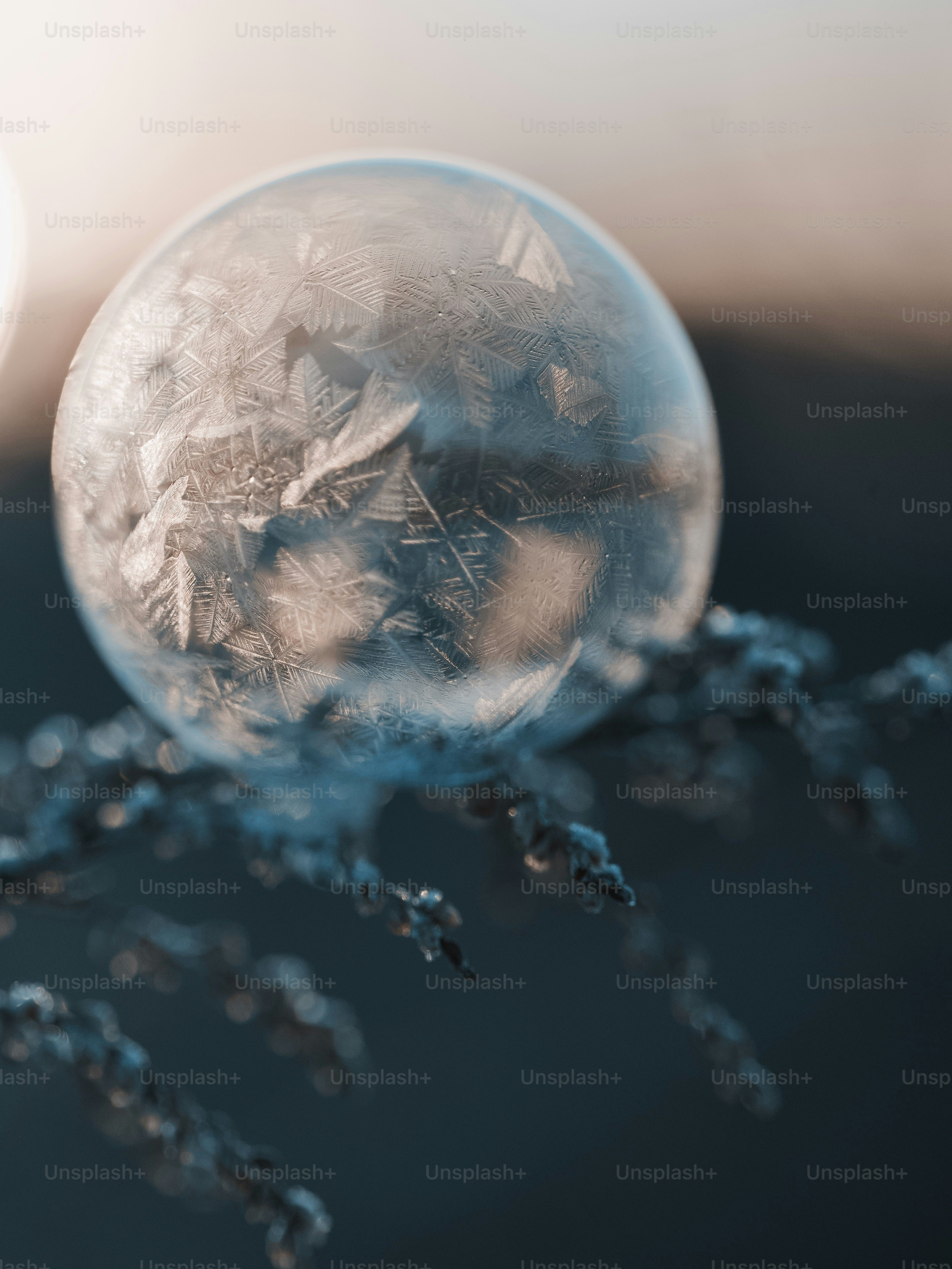 It’s here! Explore our new official Skykin Technologies website 📢