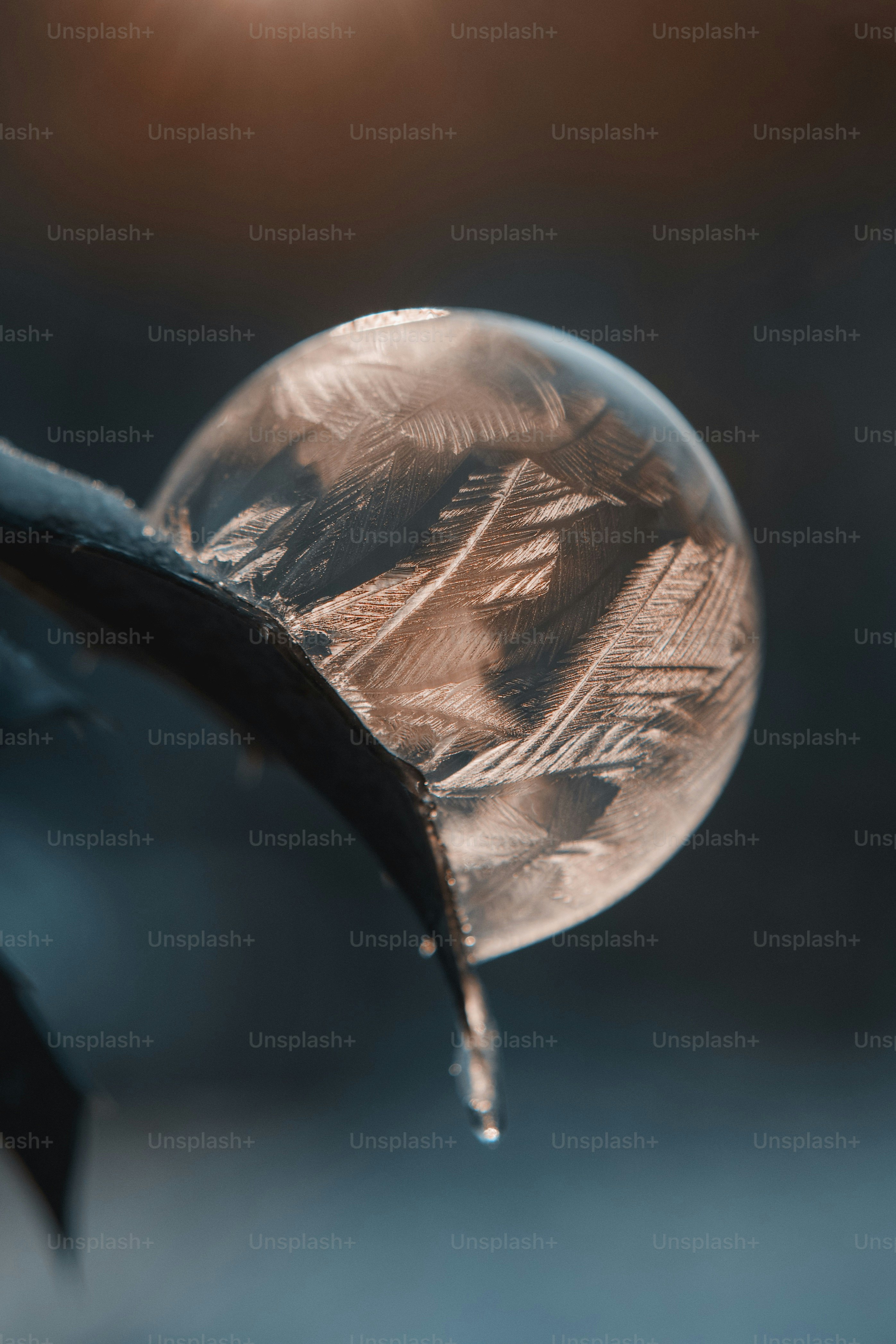 Frozen bubble with ice crystals on a leaf