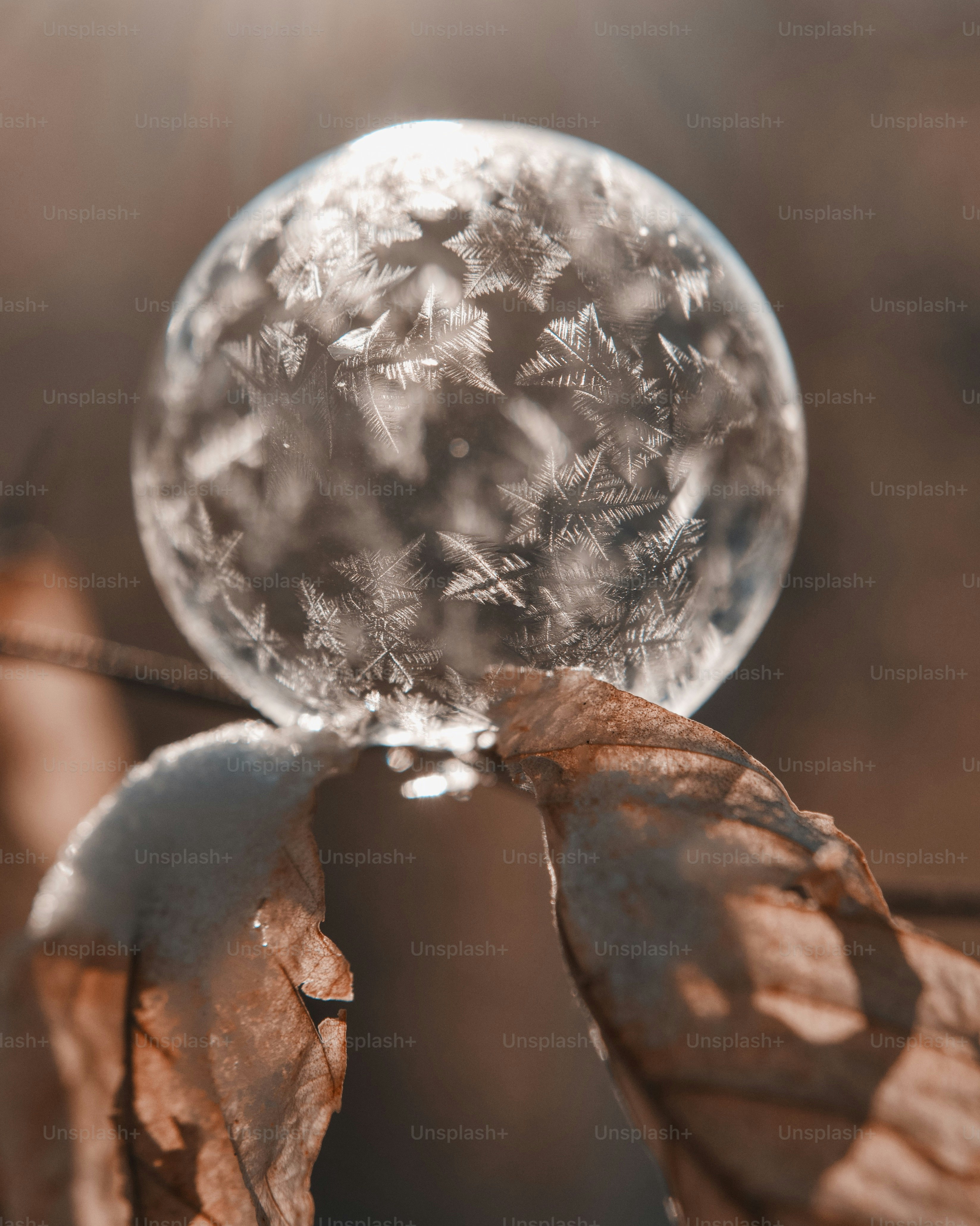Frozen bubble with intricate ice crystals on autumn leaves