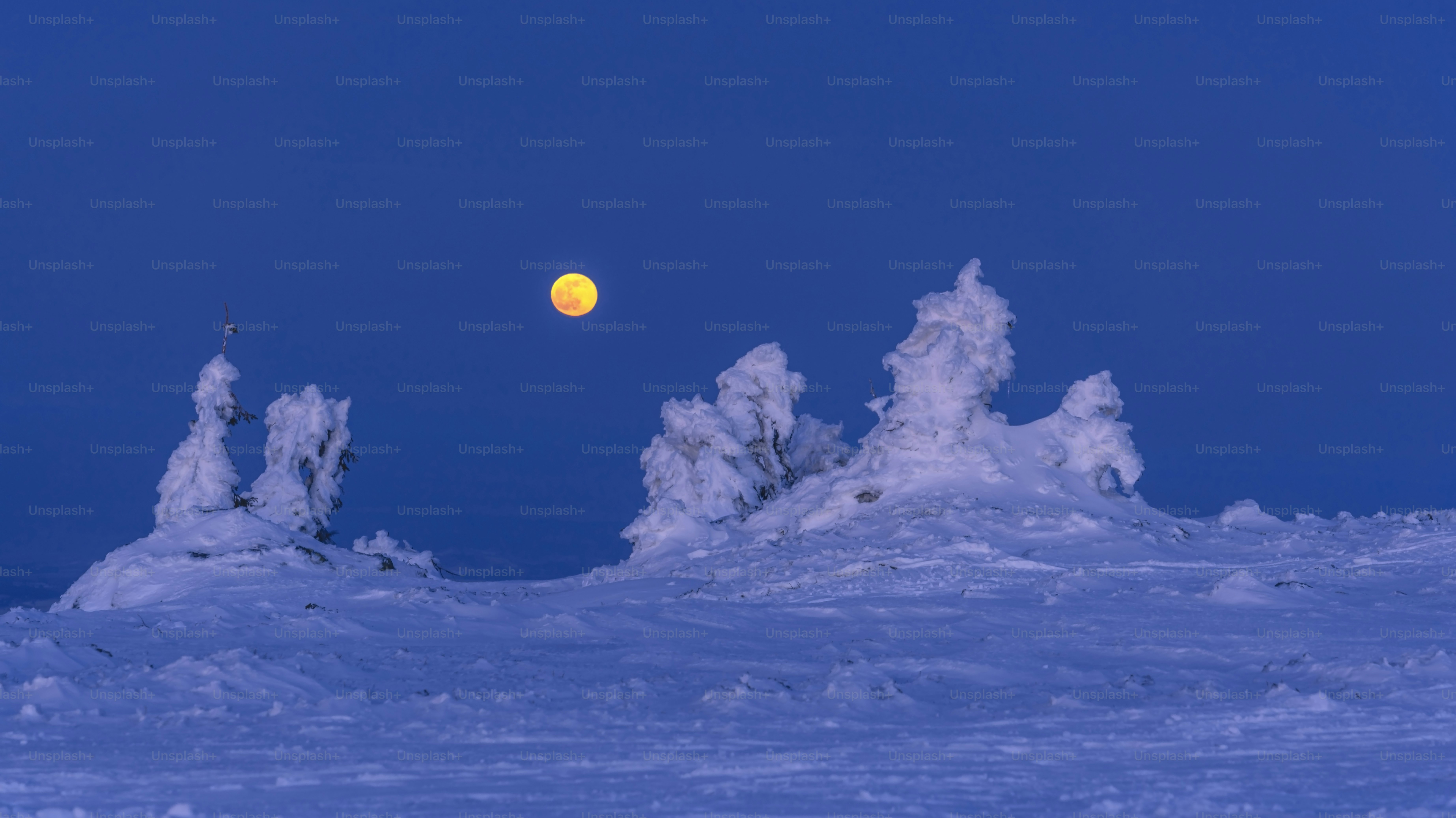 Luna gialla sopra alberi coperti di neve di notte