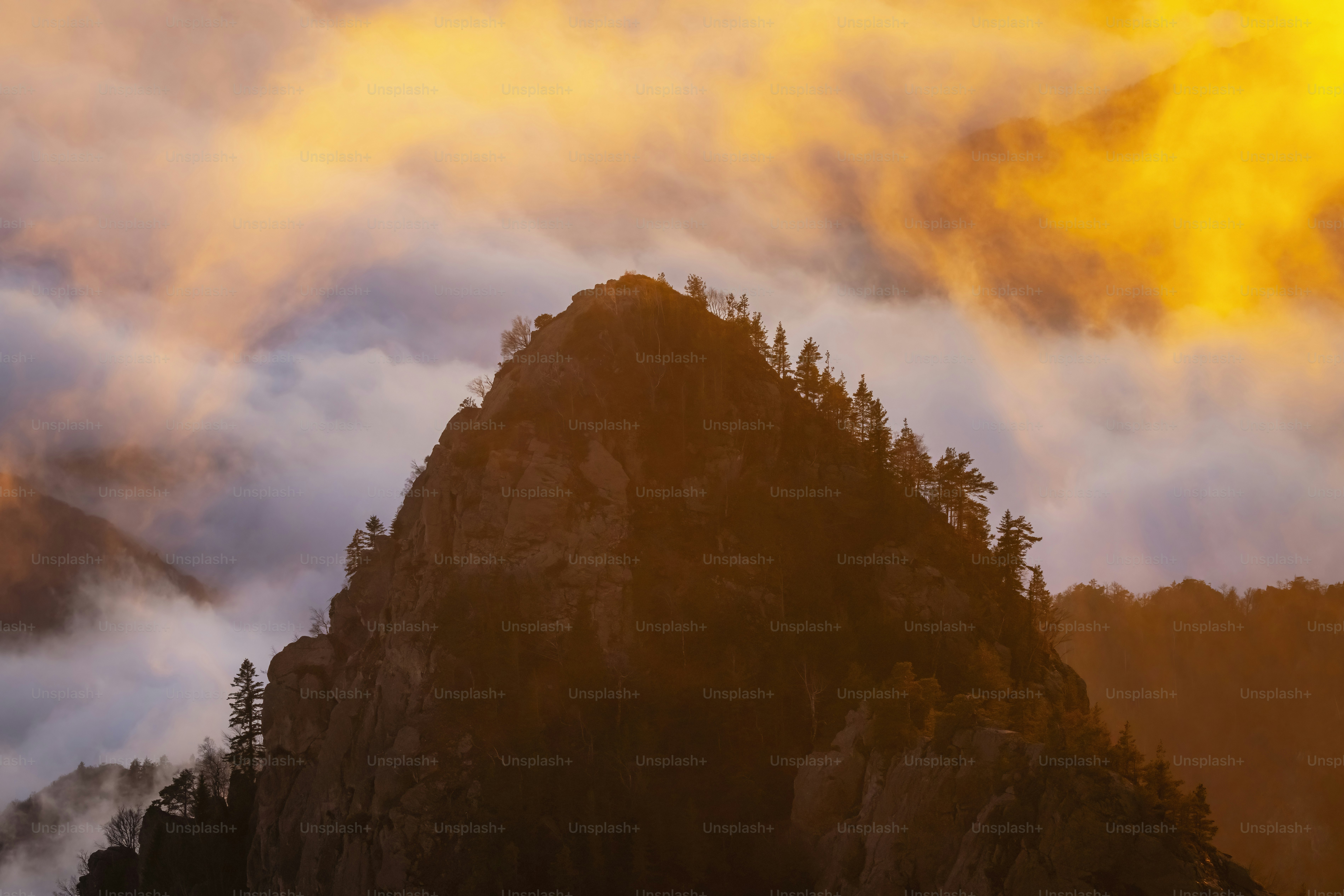 Cima della montagna con alberi circondati dalle nuvole al tramonto