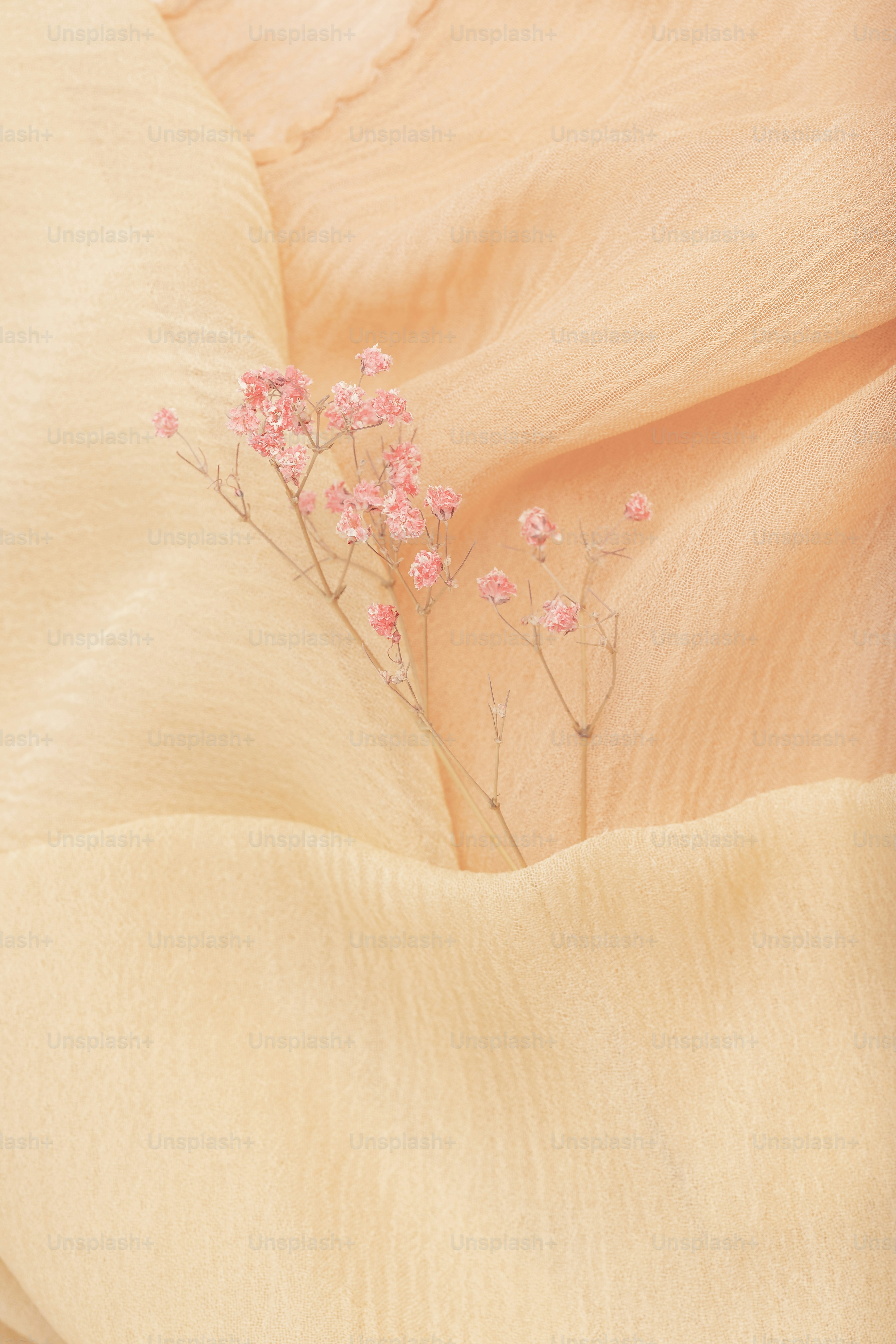 Delicate pink flowers nestled in soft peach fabric
