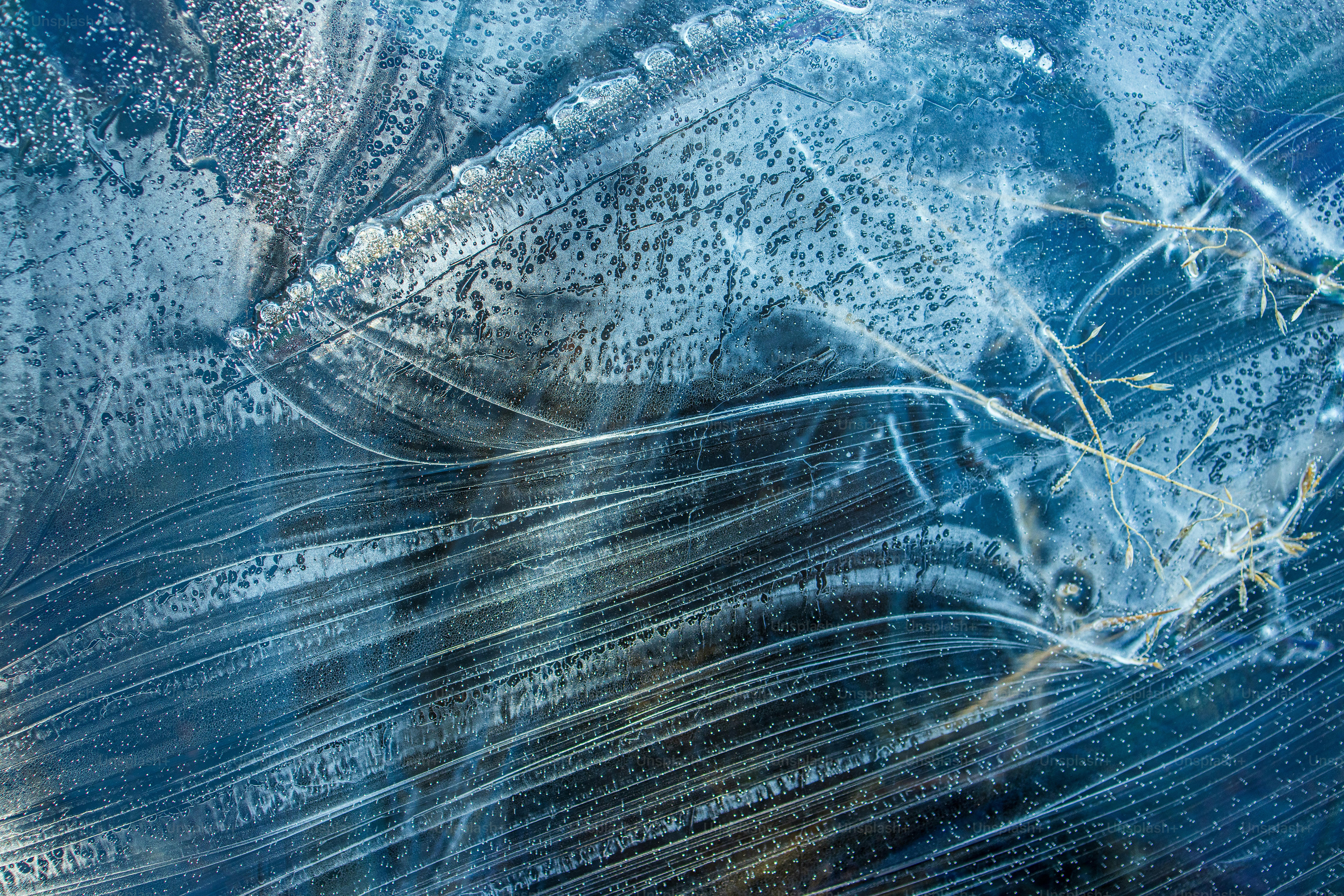 Motivi astratti di brina di ghiaccio su una superficie blu